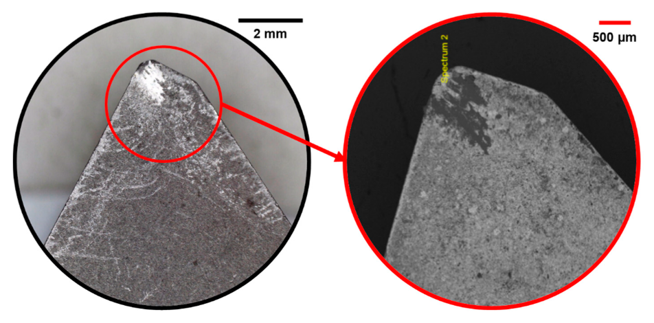 Coatings 11 00760 g005