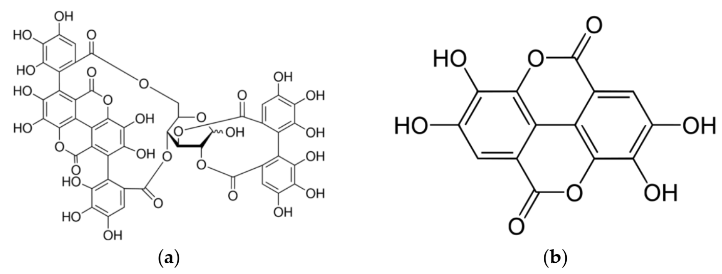 Coatings 11 00764 g001a 550