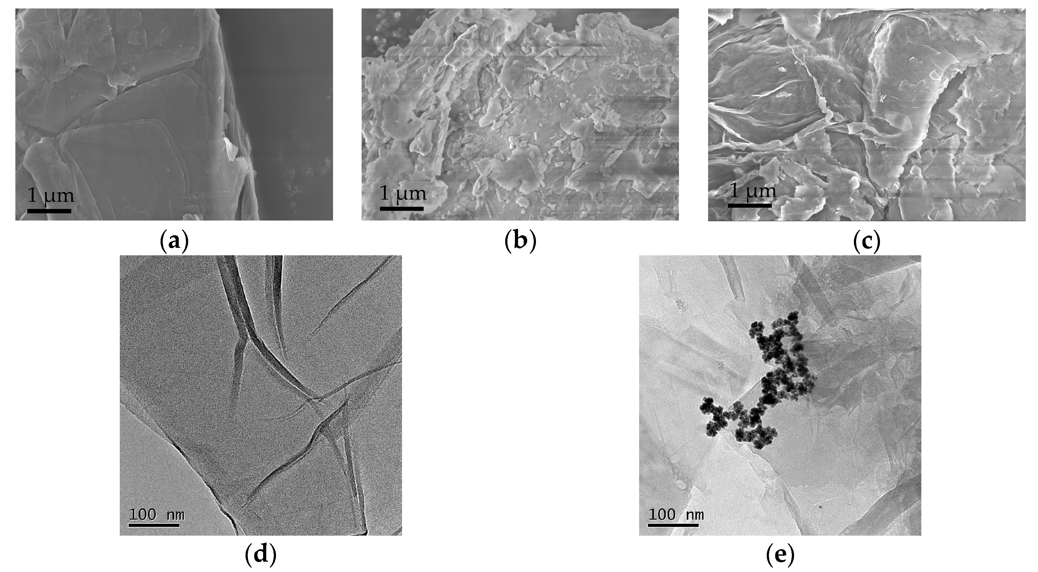 Coatings 11 00768 g001a
