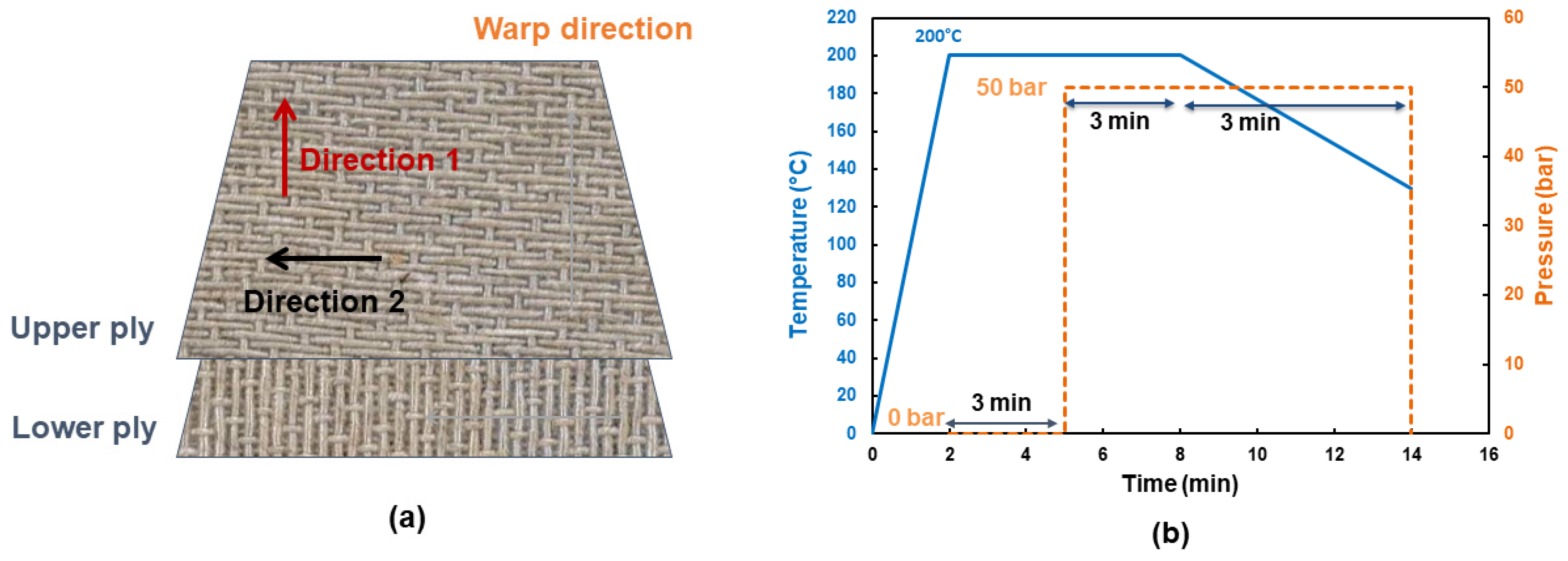 Coatings 11 00770 g002