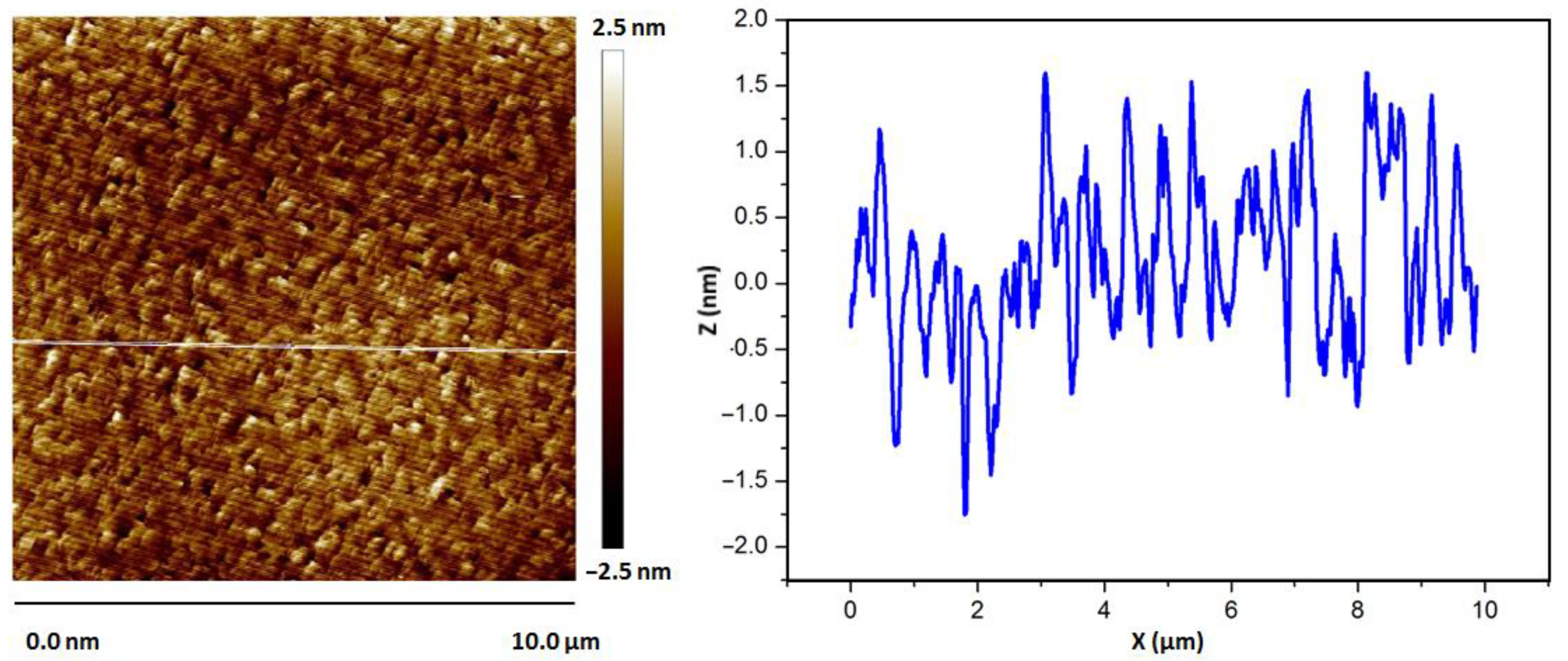 Coatings 11 00771 g002 550