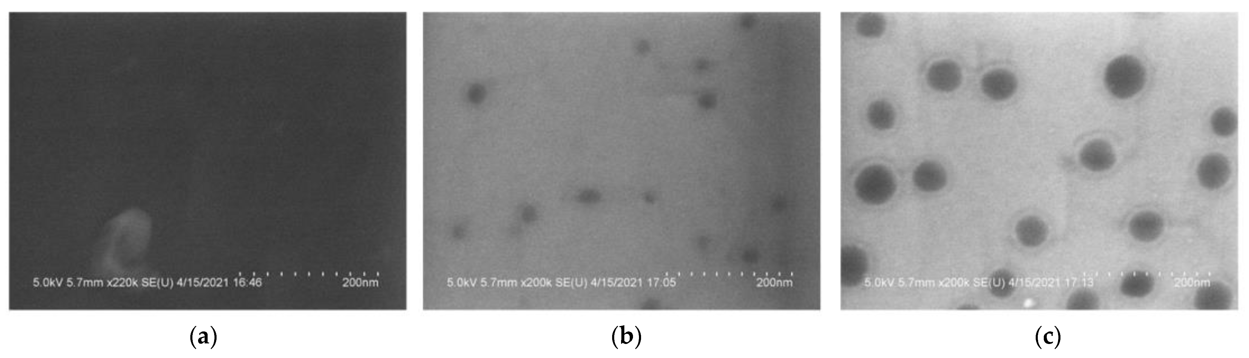 Coatings 11 00771 g005 550