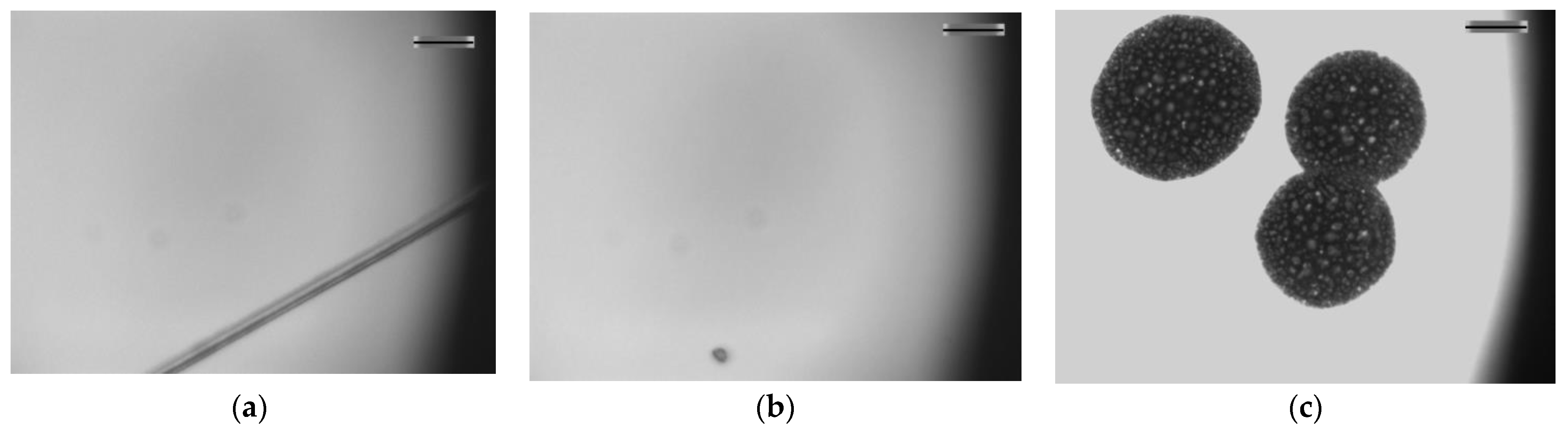 Coatings 11 00771 g006 550