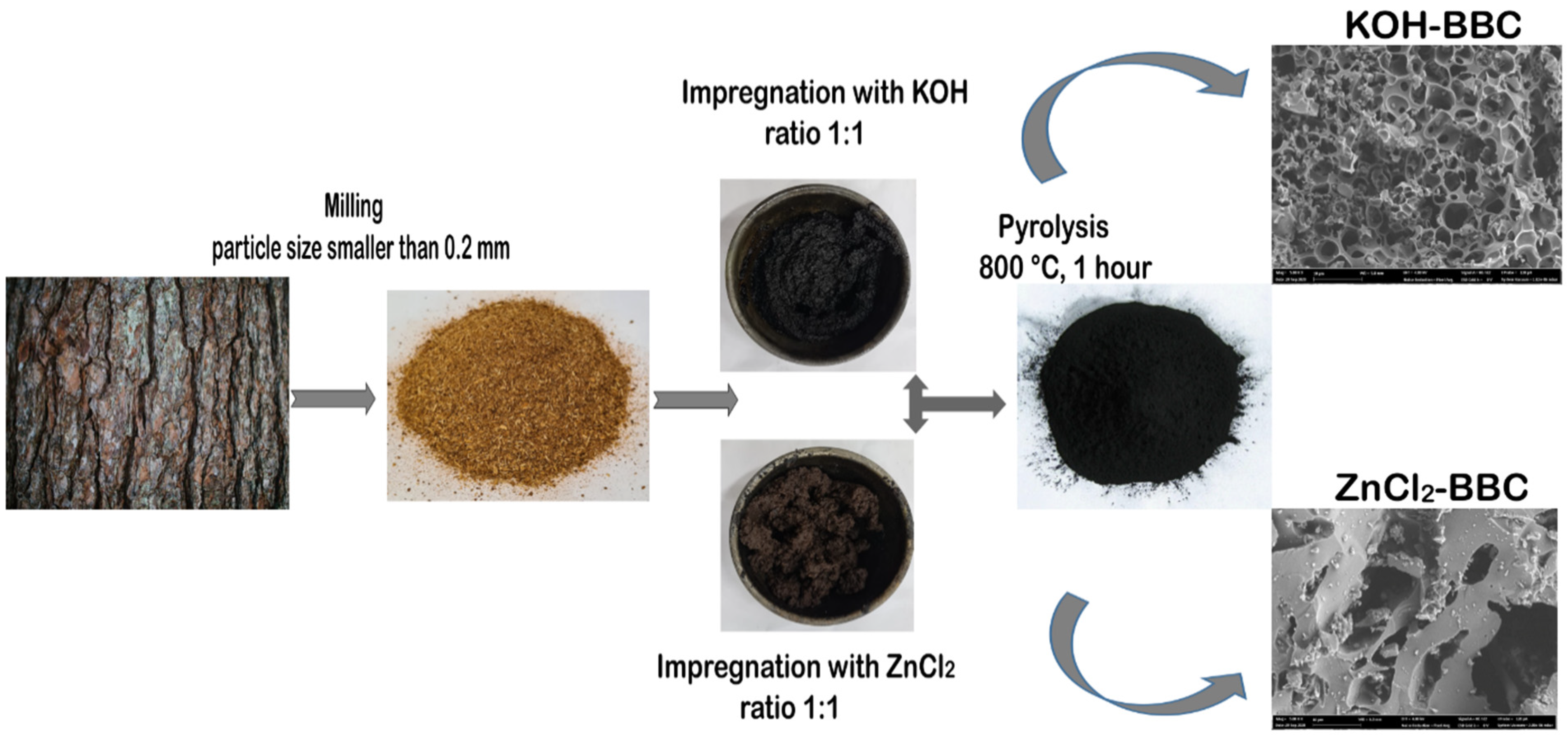 Coatings 11 00772 g001 550
