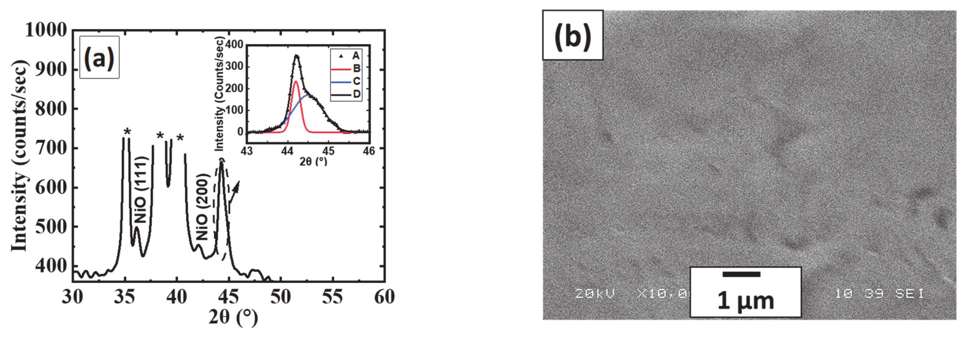 Coatings 11 00780 g001a 550