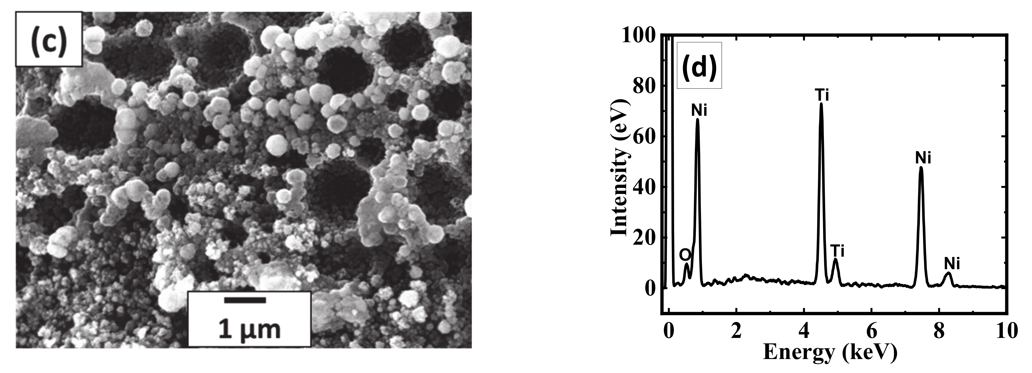 Coatings 11 00780 g001b 550