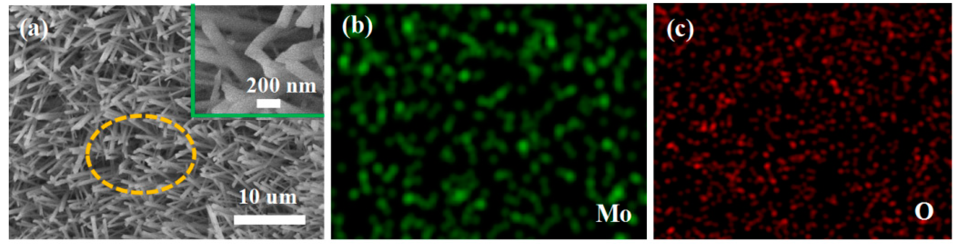 Coatings 11 00783 g002