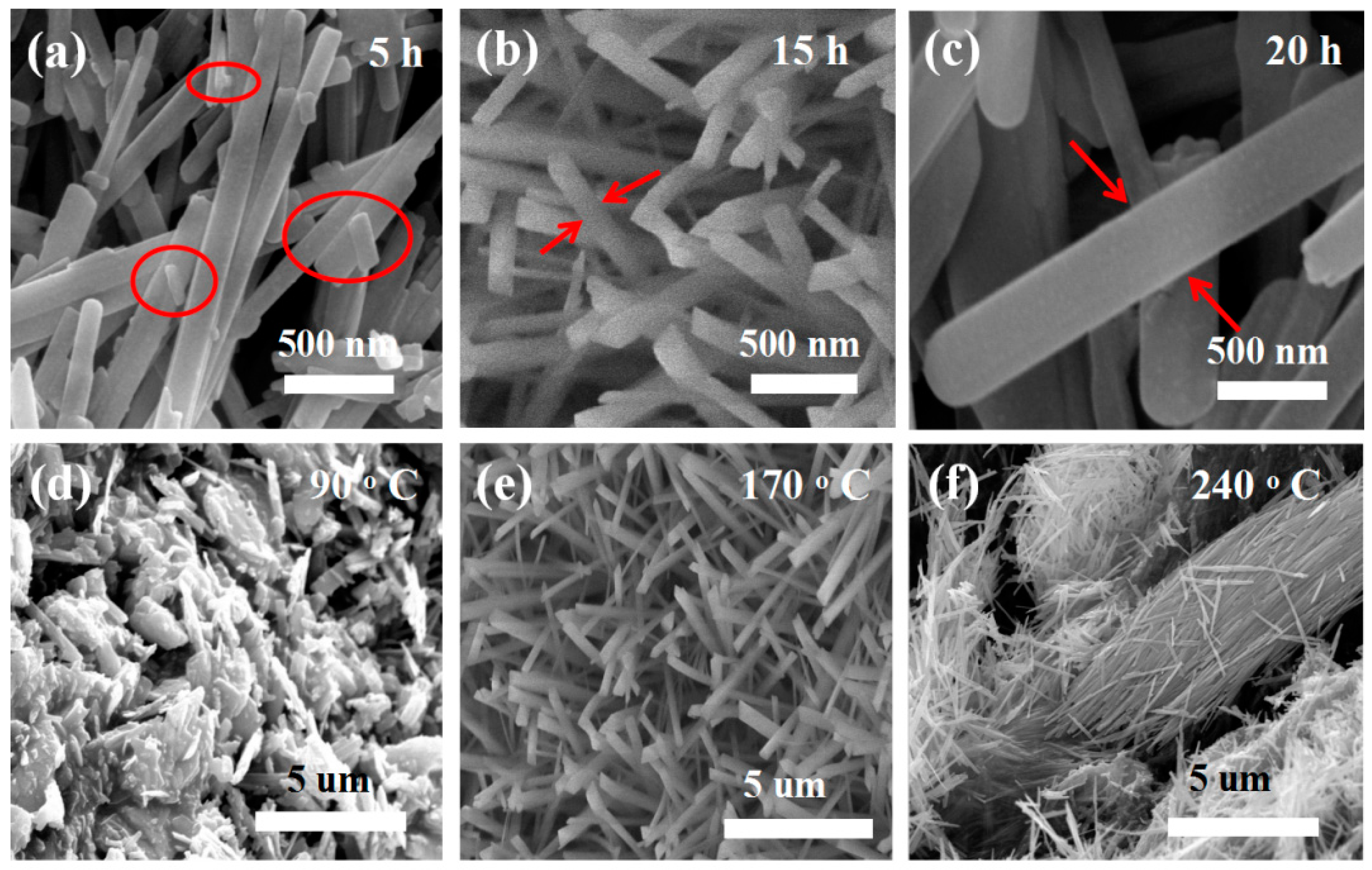 Coatings 11 00783 g003