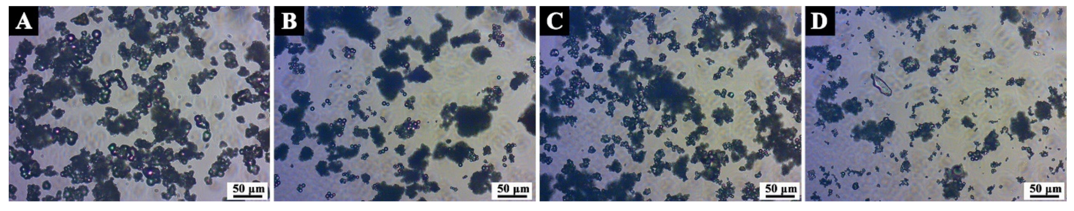 Coatings 11 00785 g001