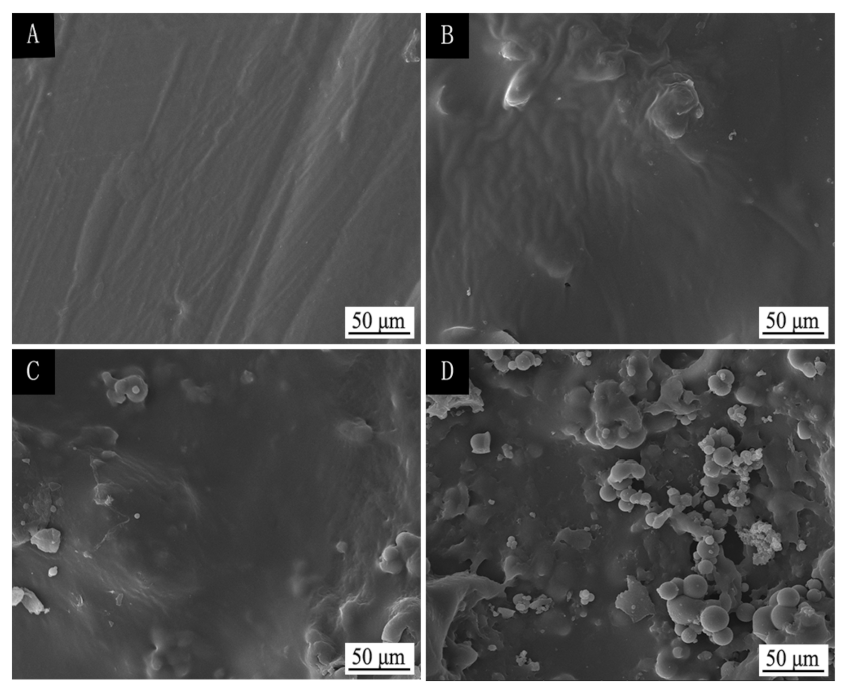 Coatings 11 00785 g008