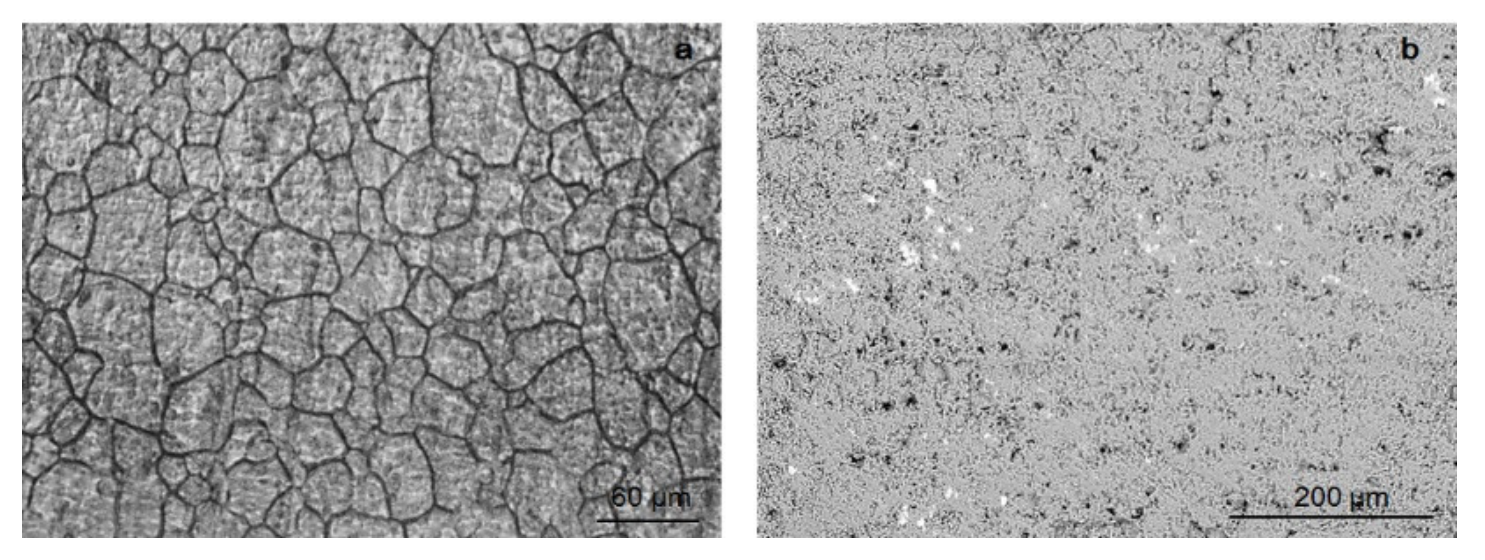 Coatings 11 00793 g002 550