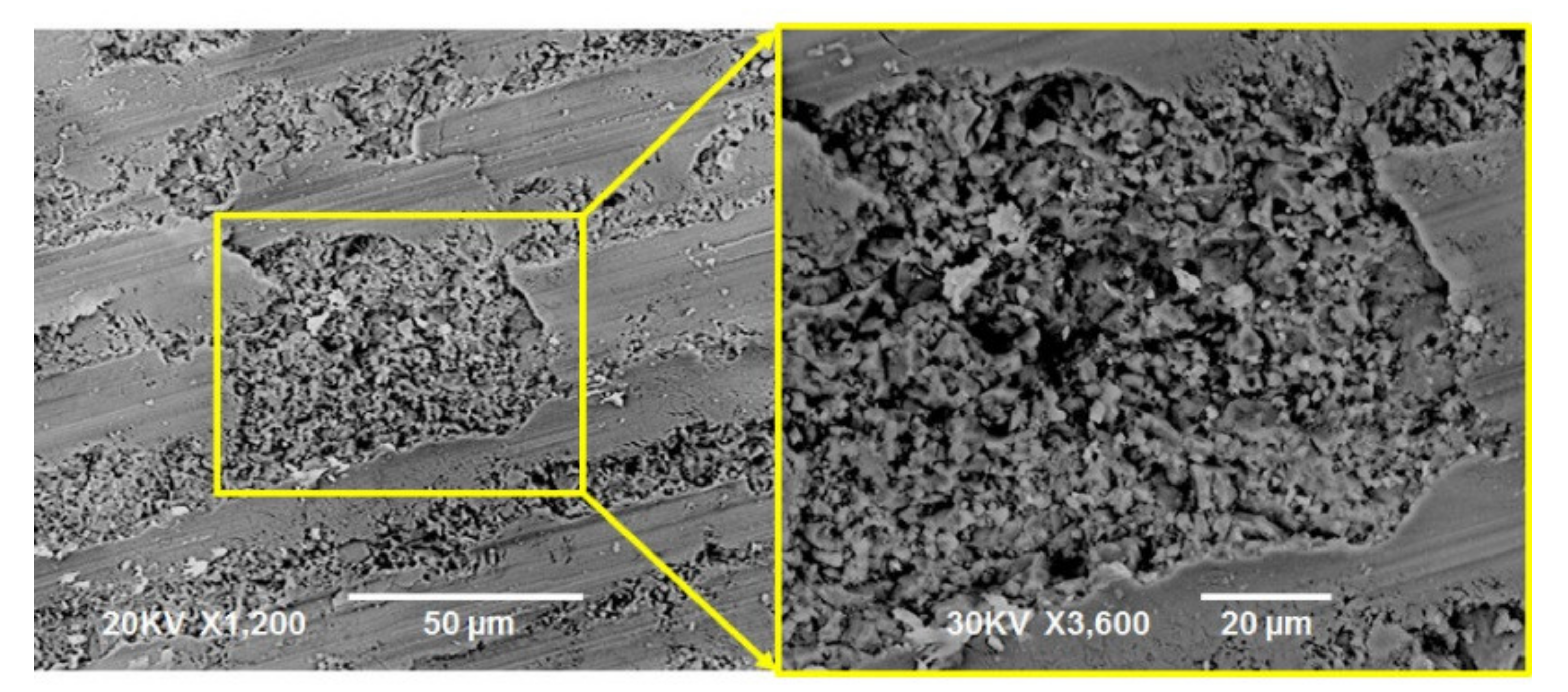 Coatings 11 00793 g003 550
