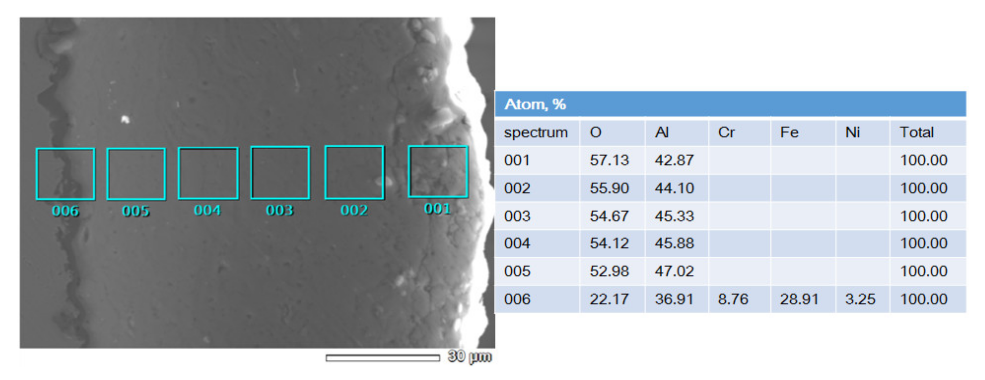 Coatings 11 00793 g006 550