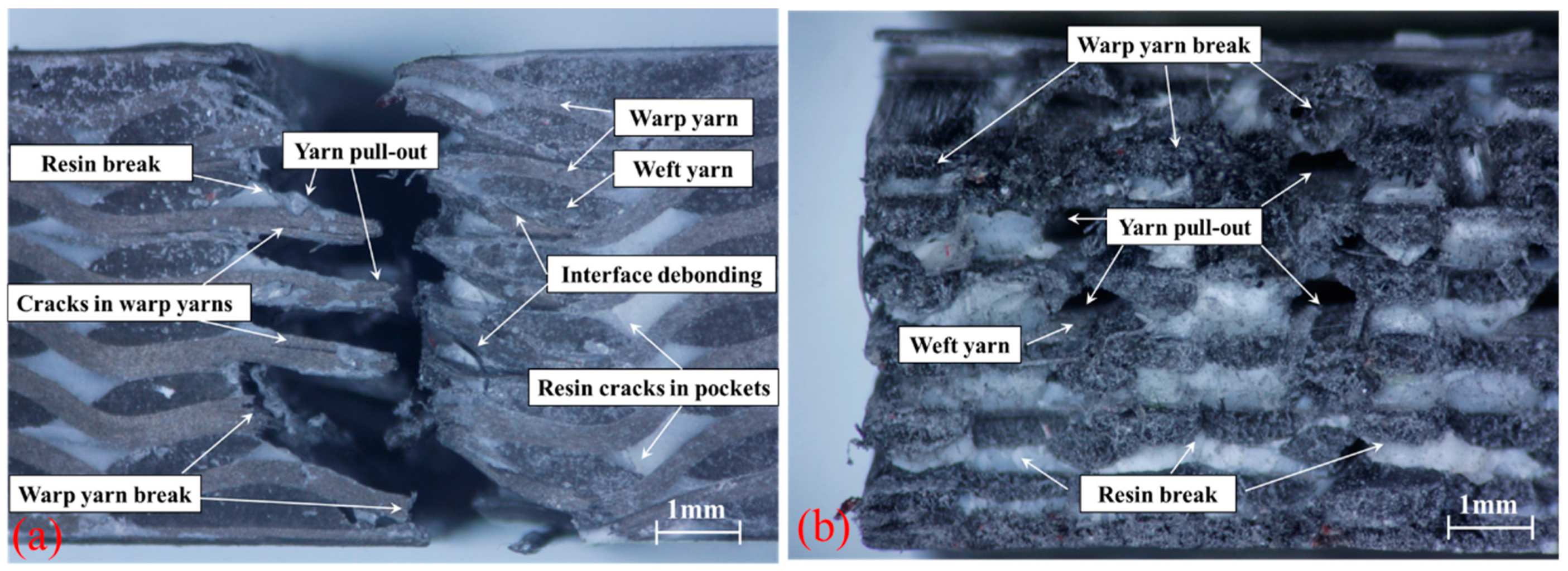 Coatings 11 00794 g006