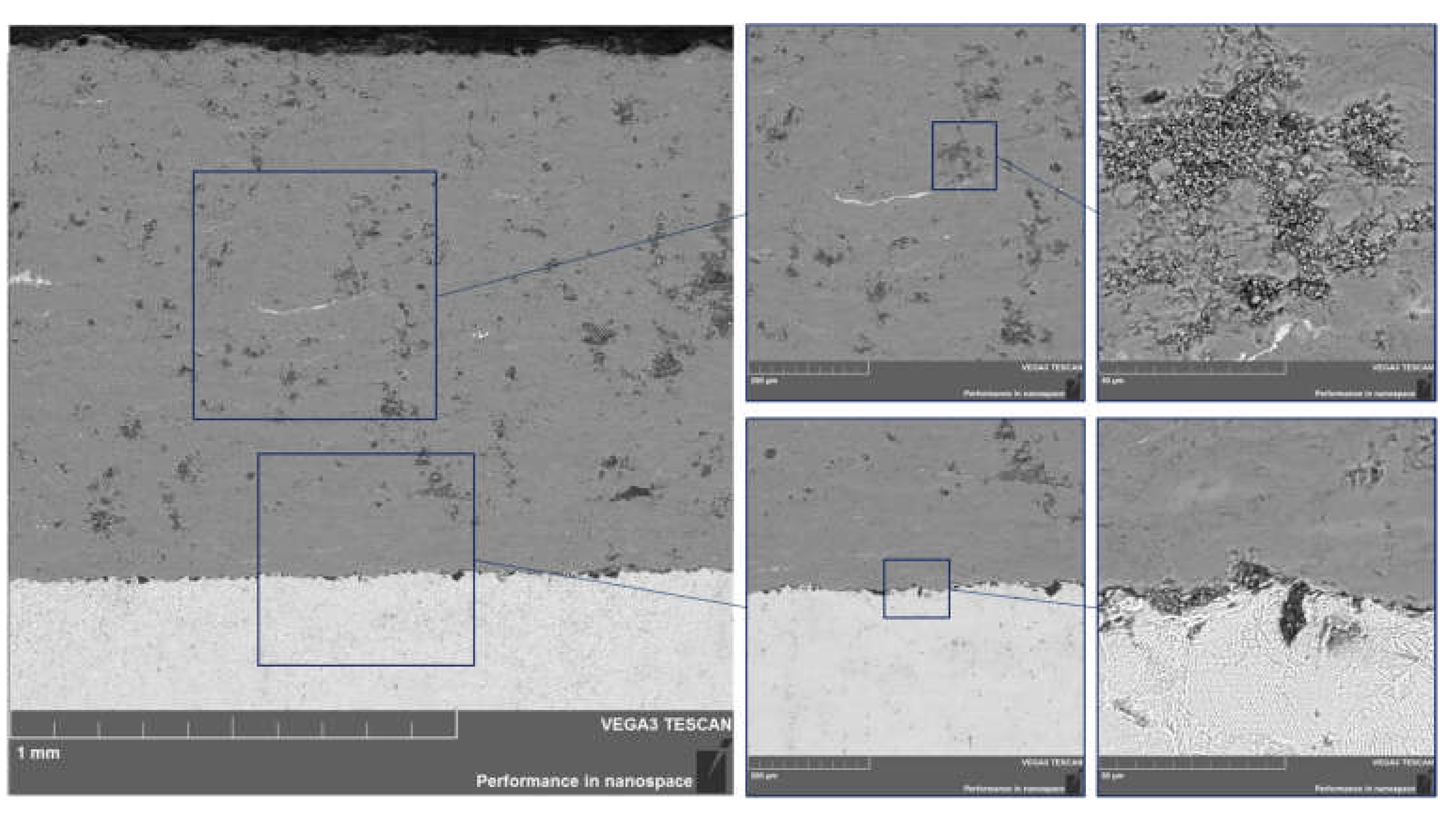 Coatings 11 00795 g004