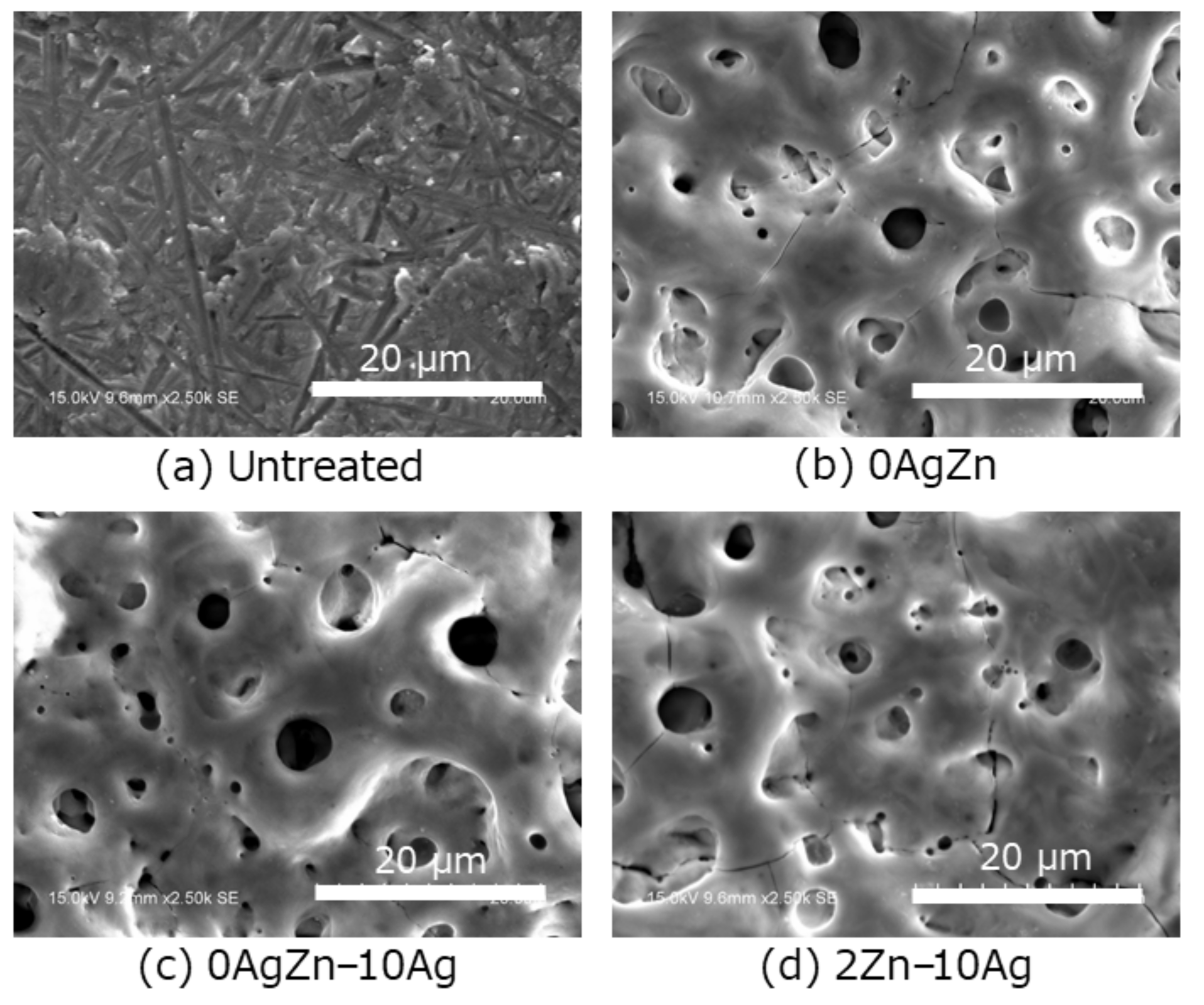 Coatings 11 00798 g001