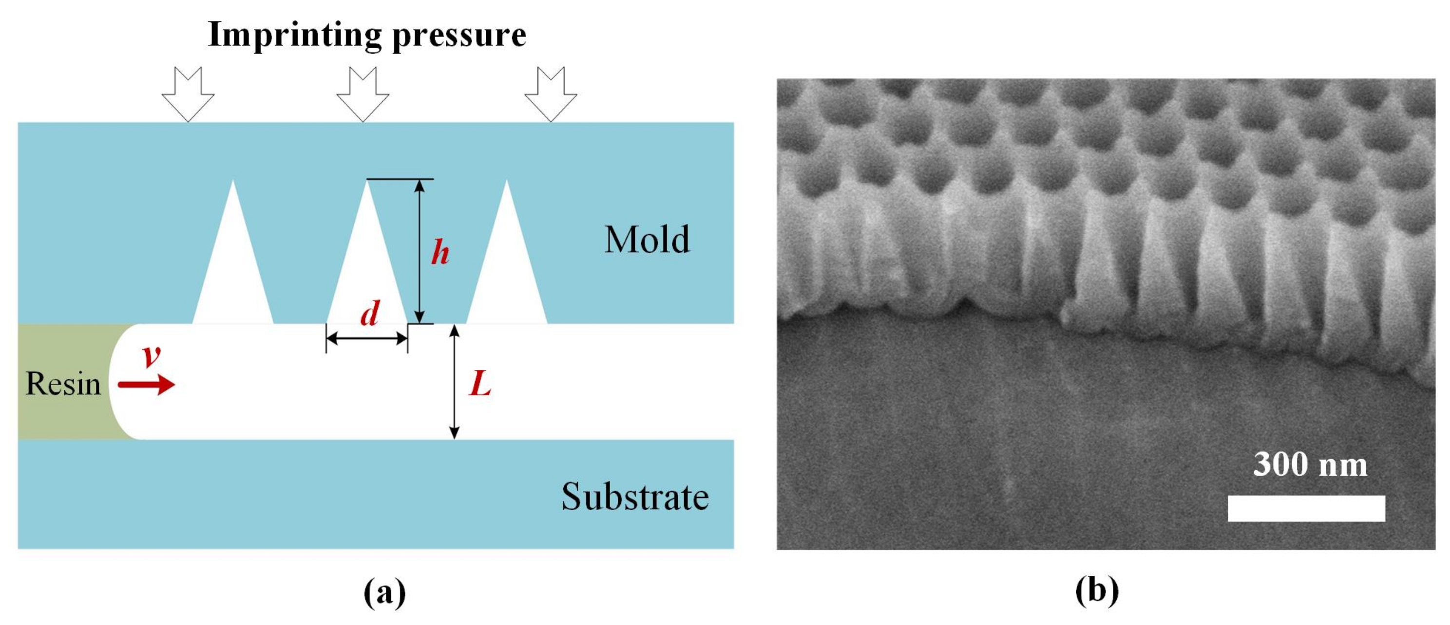 Coatings 11 00799 g001 550