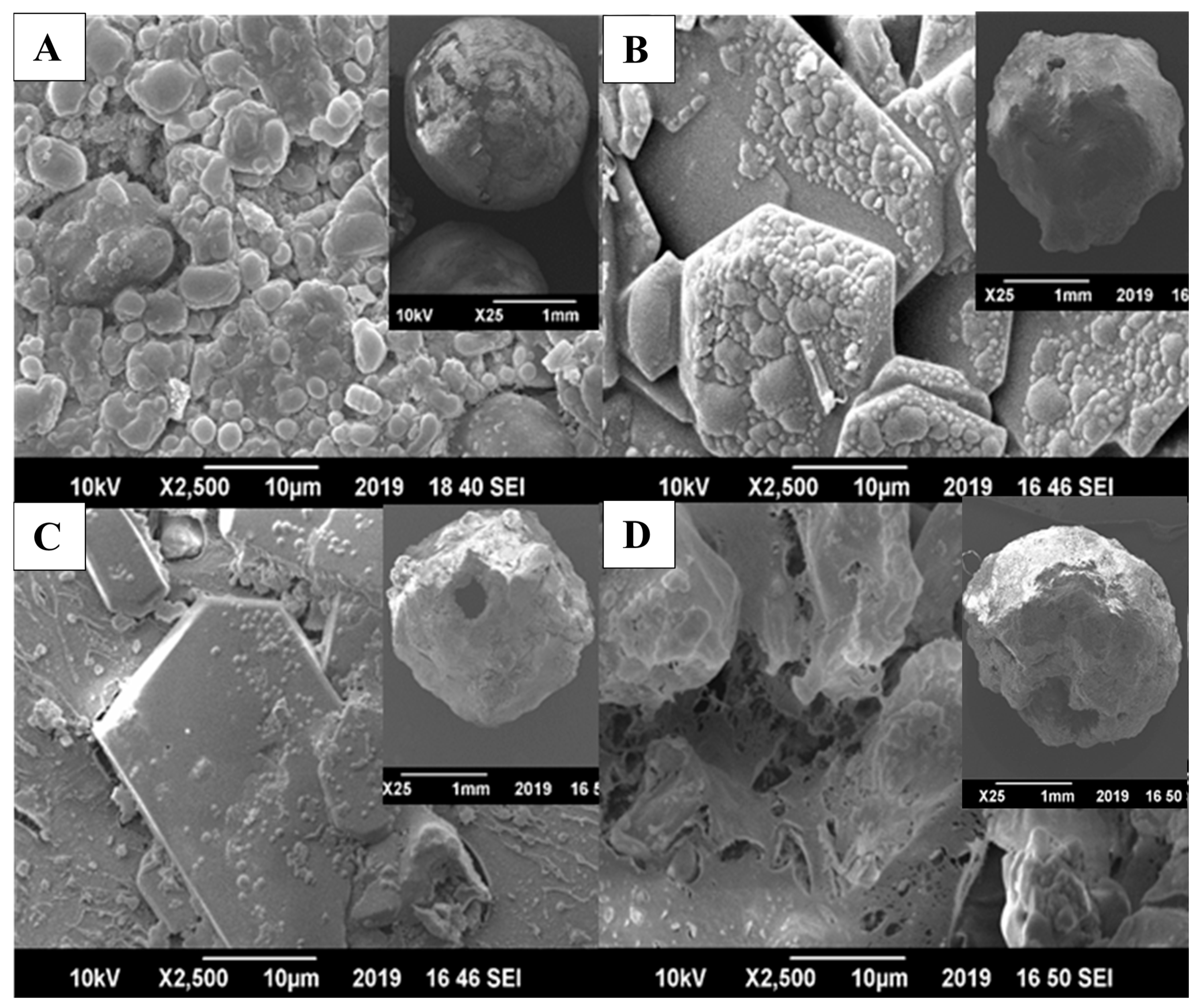 Coatings 11 00804 g001