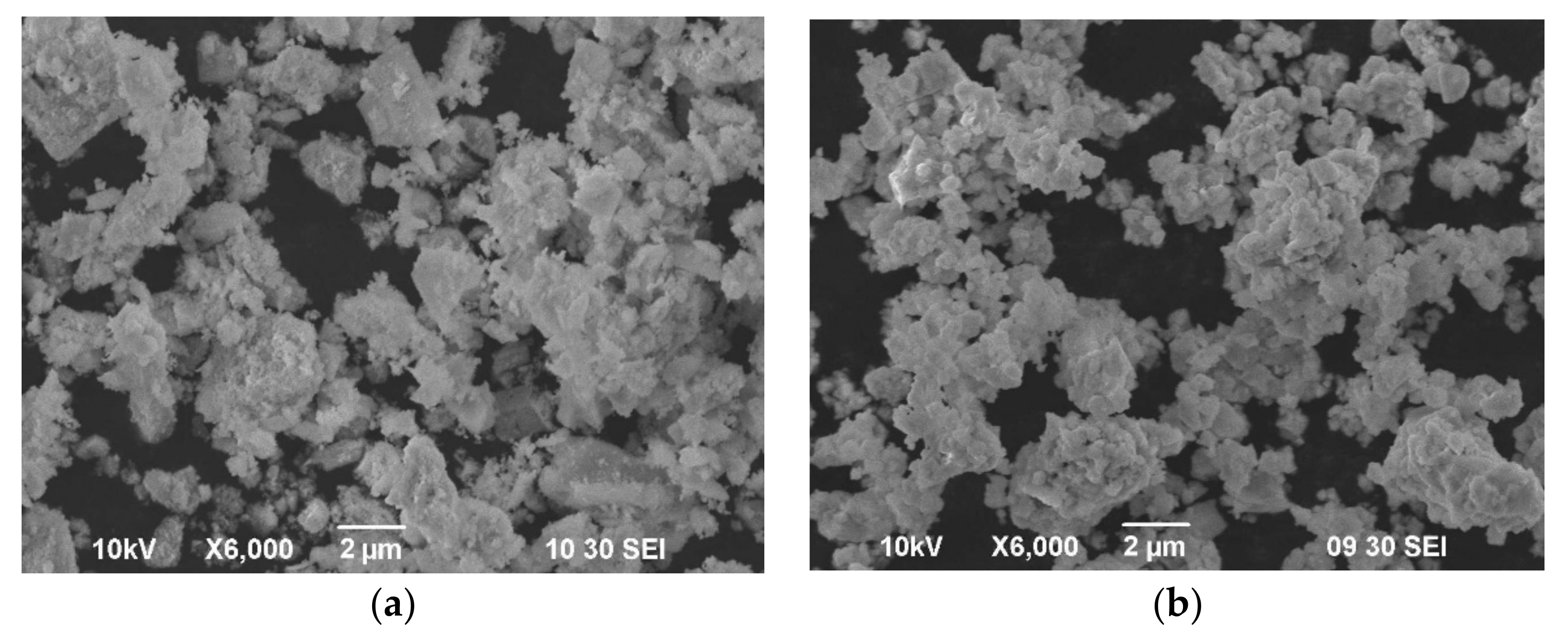Coatings 11 00805 g002
