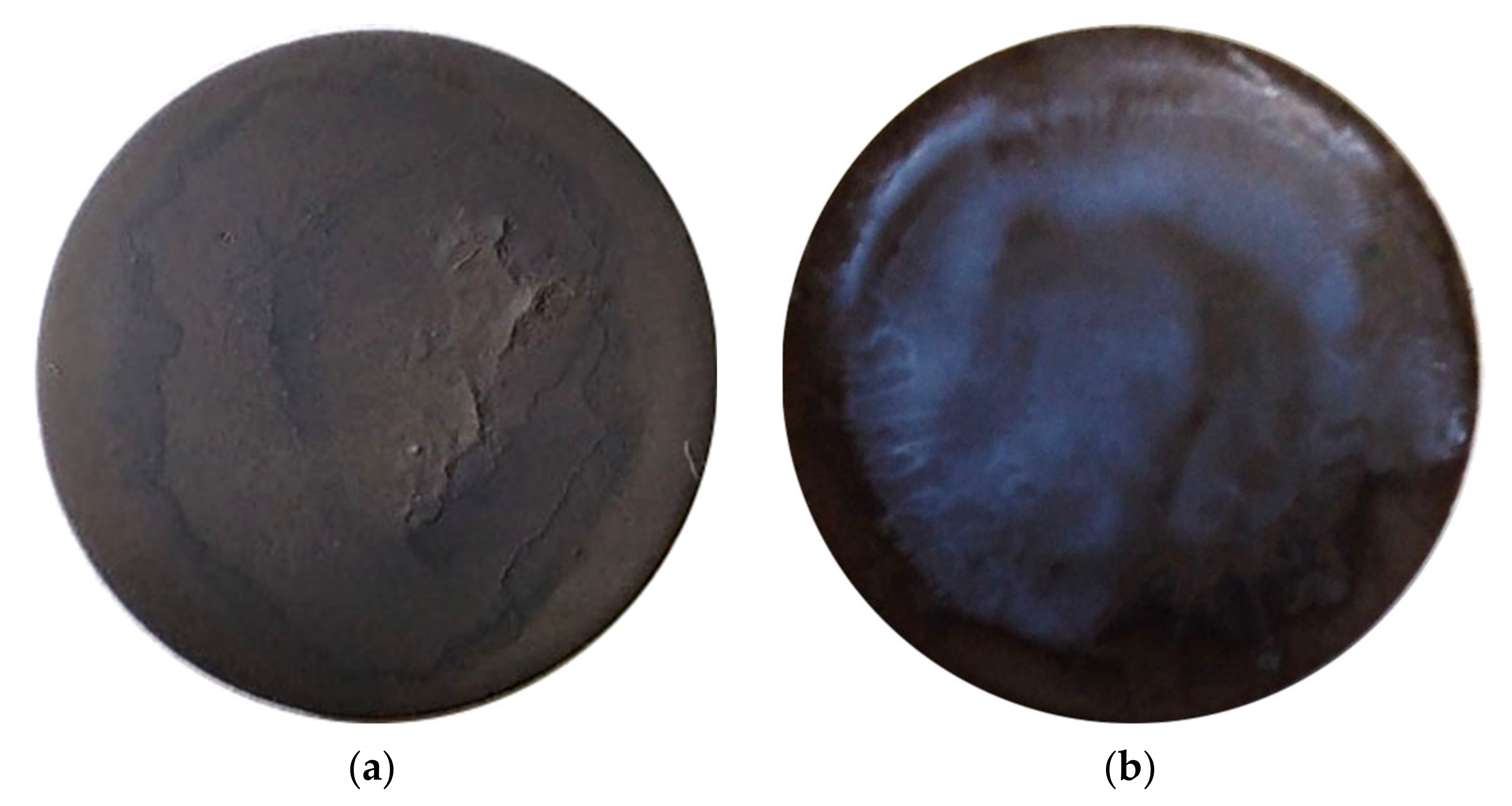 Coatings 11 00805 g008