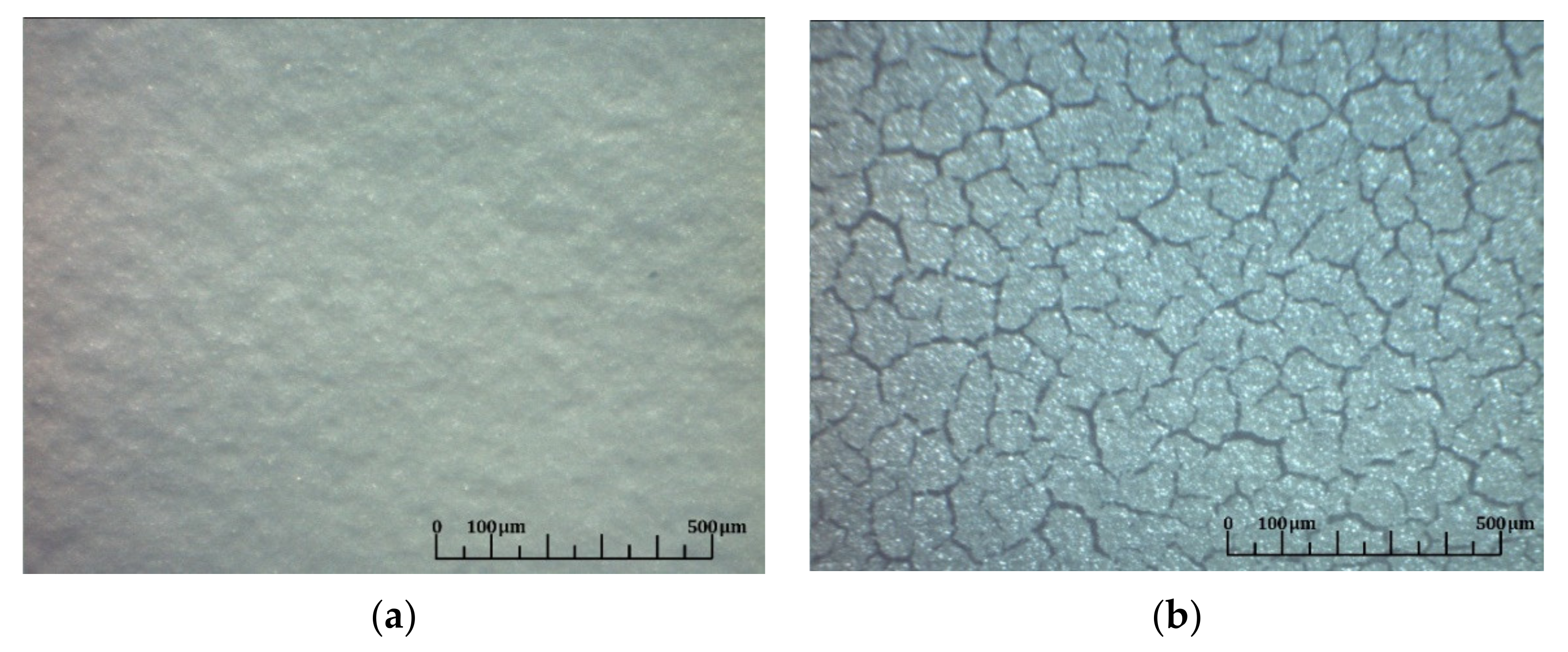 Coatings 11 00805 g009