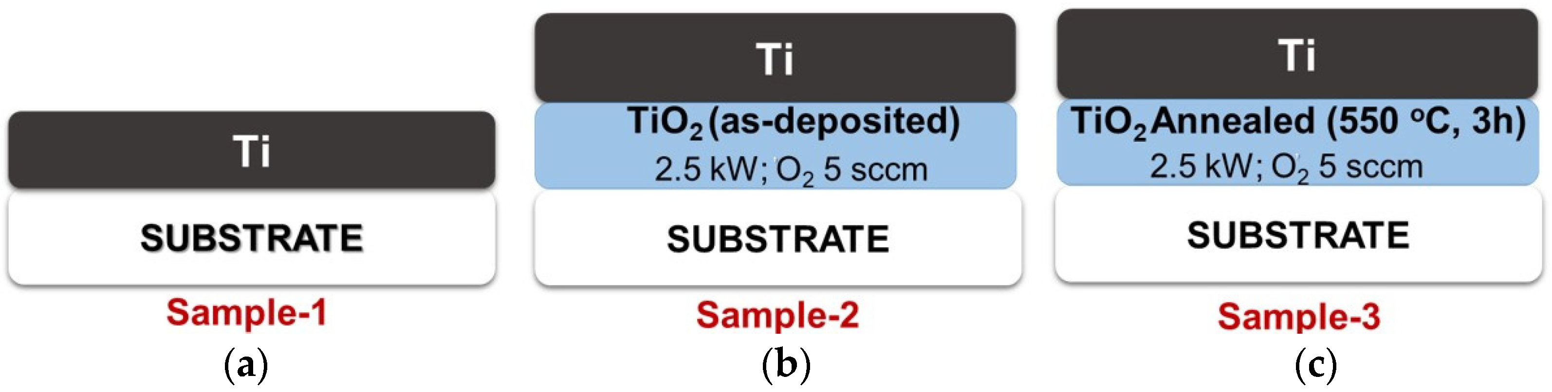 Coatings 11 00808 g001