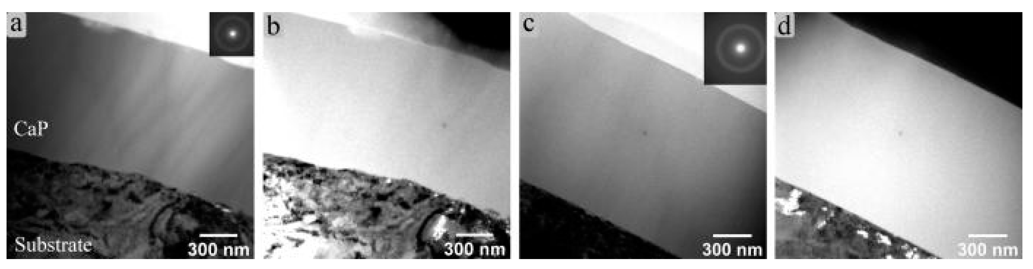 Coatings 11 00809 g003 550