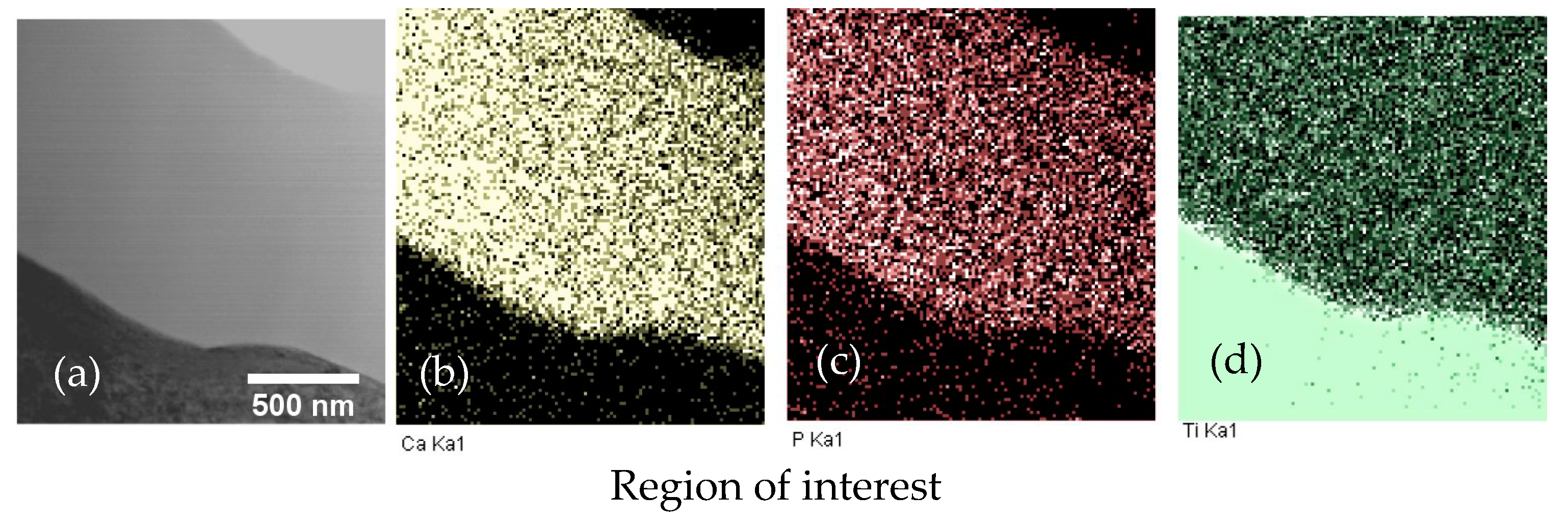 Coatings 11 00809 g005 550