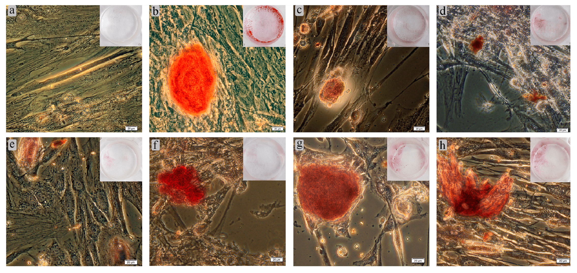 Coatings 11 00809 g014 550