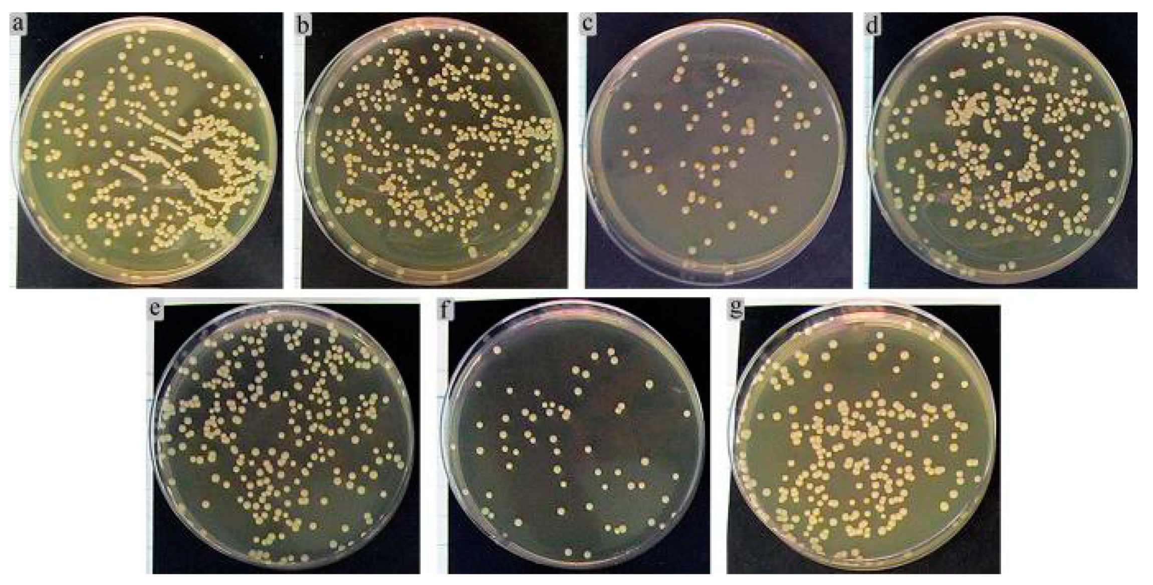 Coatings 11 00809 g015 550