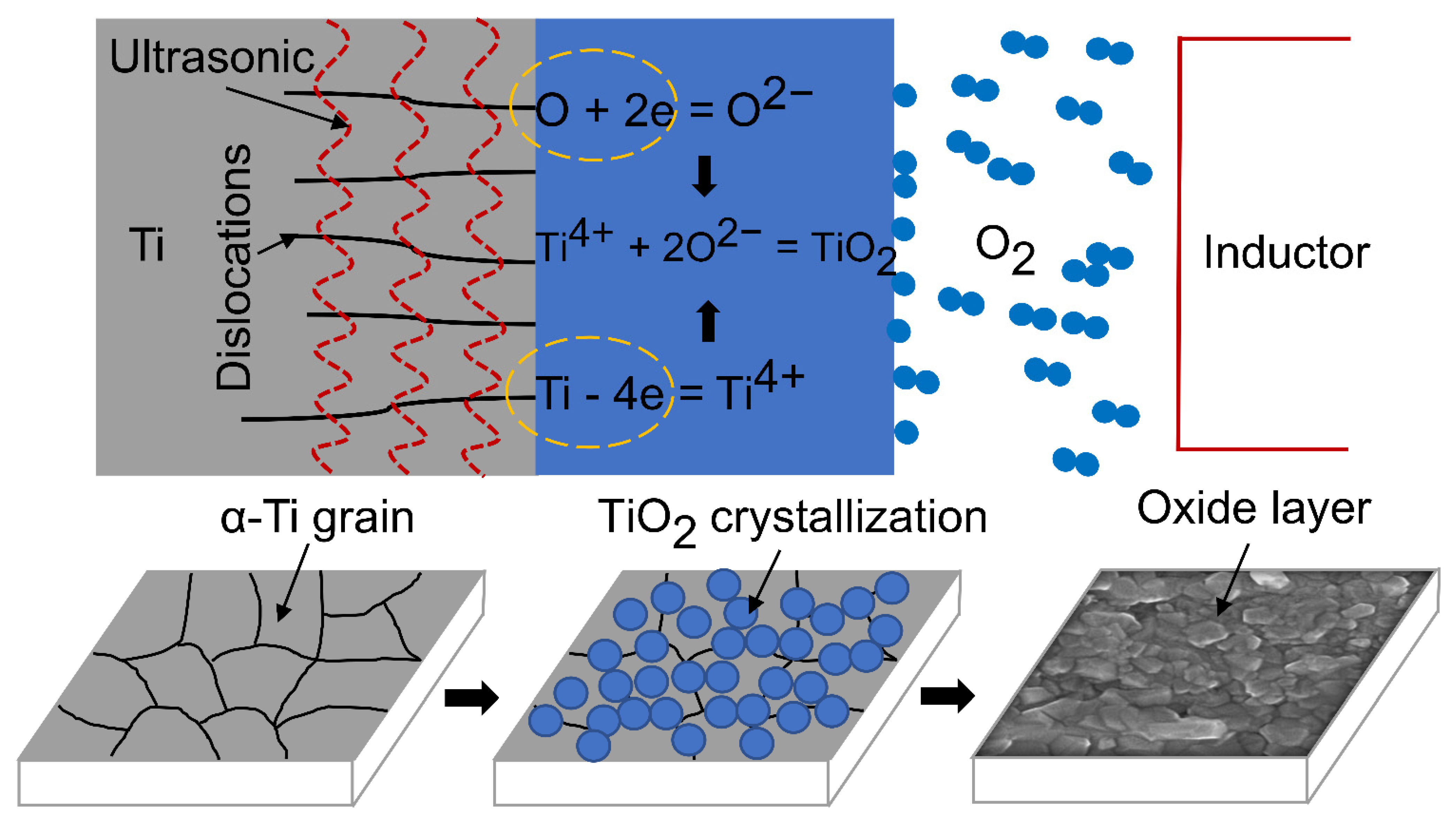 Coatings 11 00812 g009