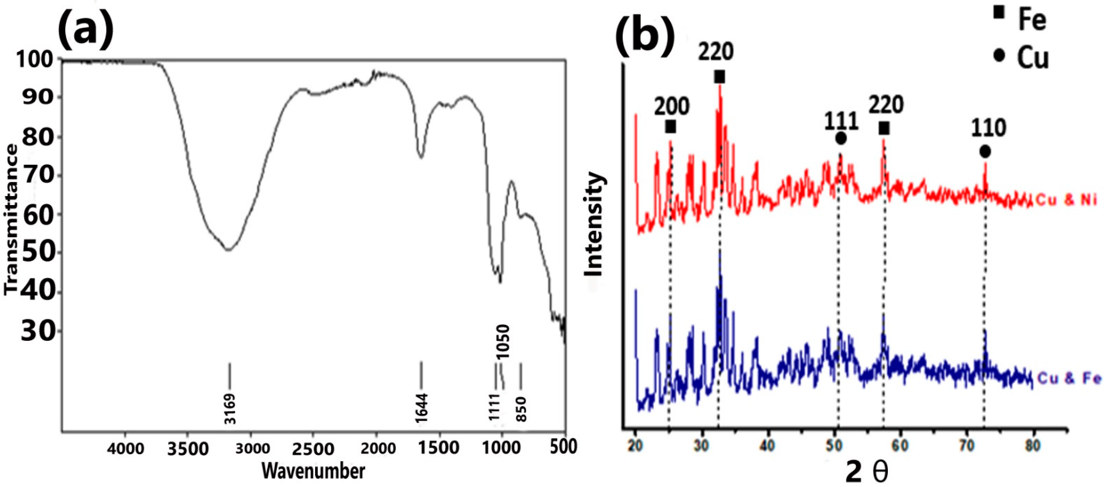 Coatings 11 00813 g003
