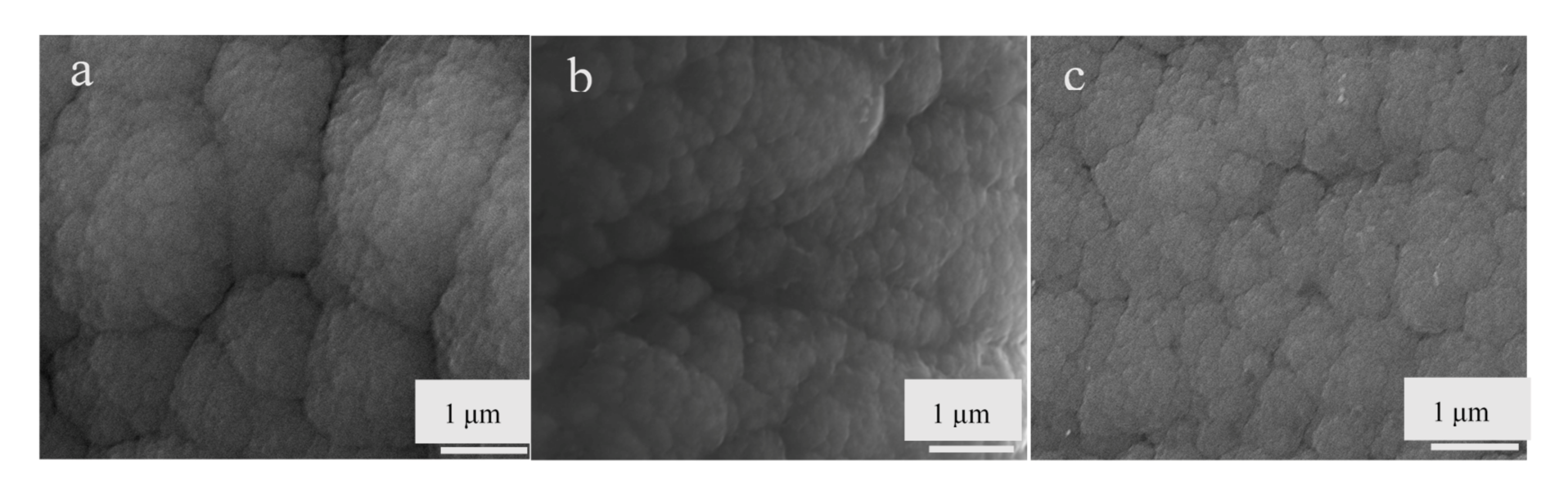 Coatings 11 00815 g001
