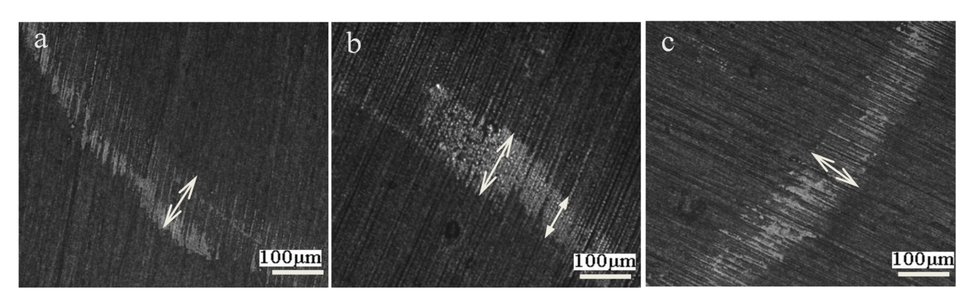 Coatings 11 00815 g006