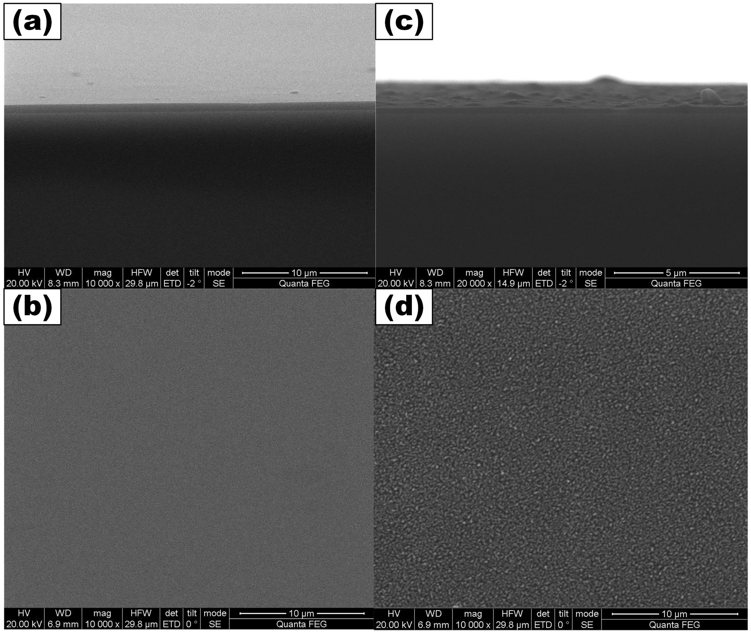 Coatings 11 00818 g002