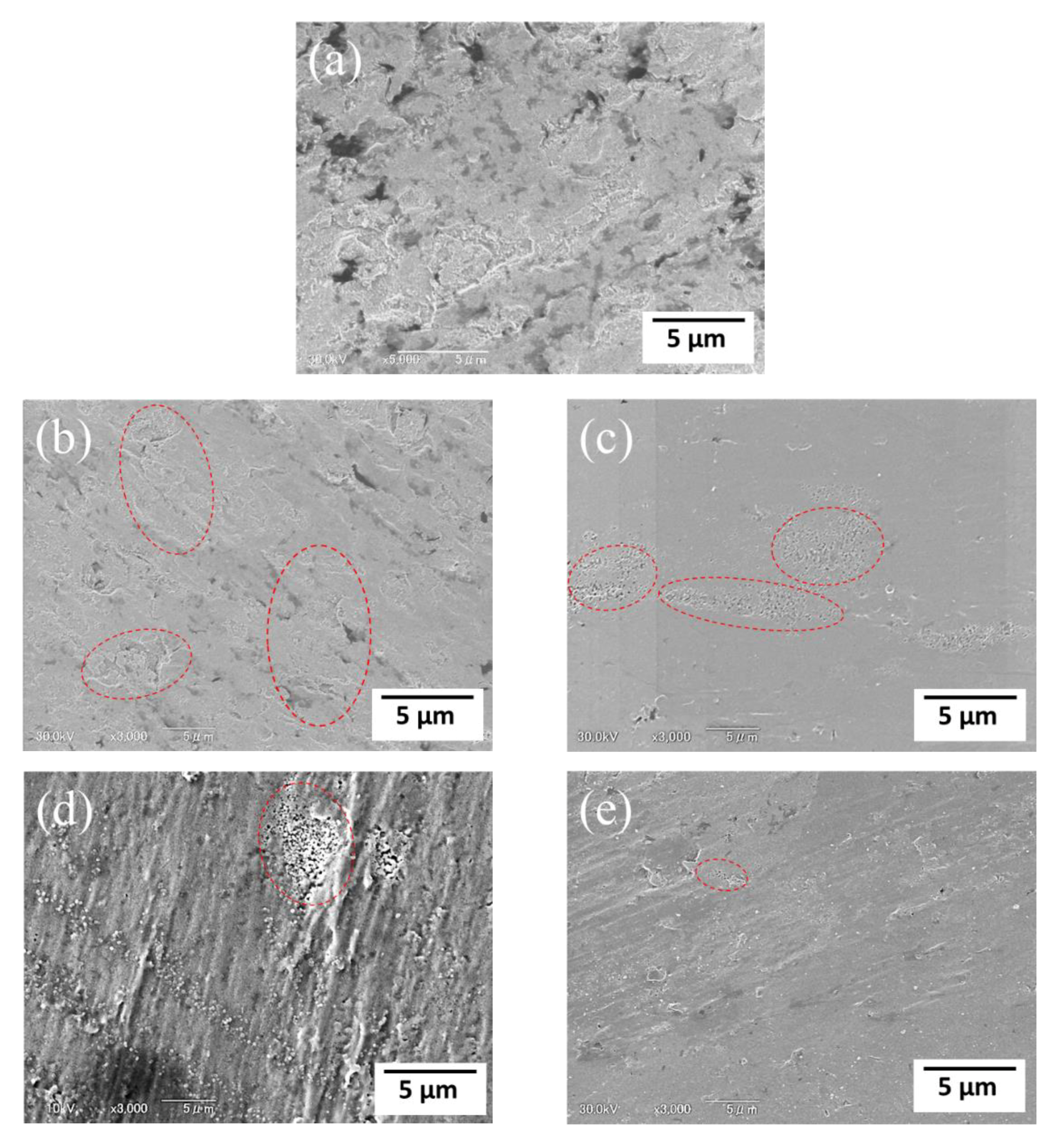 Coatings 11 00820 g010