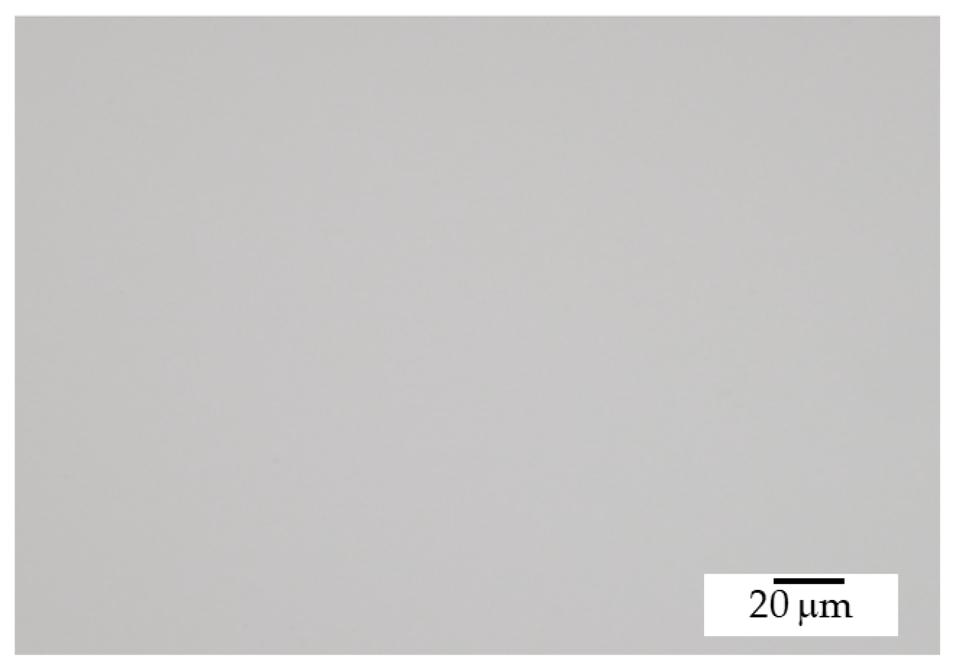 Coatings 11 00823 g006 550