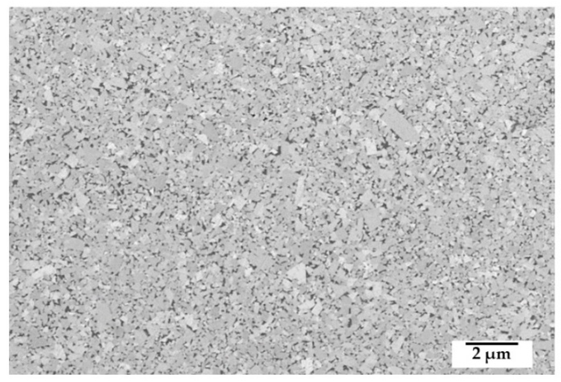 Coatings 11 00823 g007 550