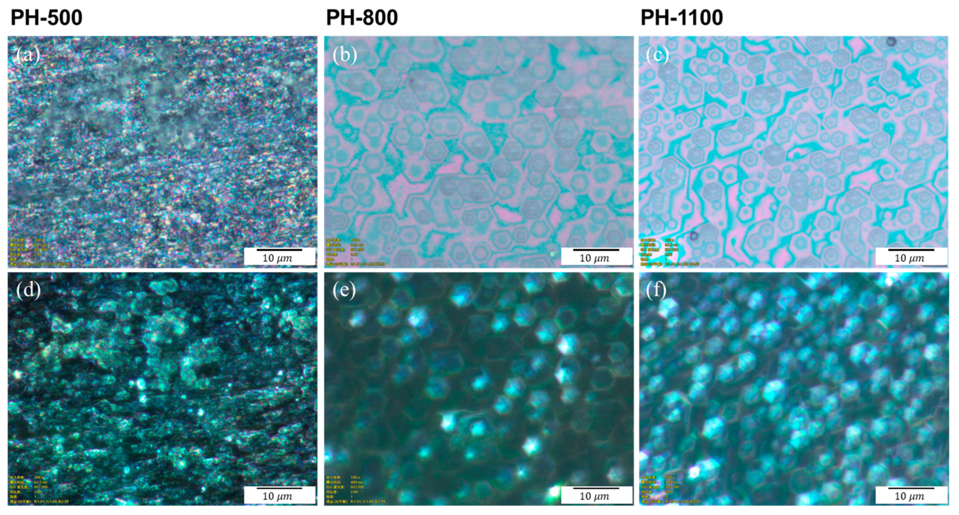 Coatings 11 00824 g005 Coatings 11 00824 g005