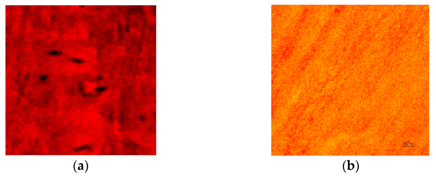Coatings 11 00830 g004 550