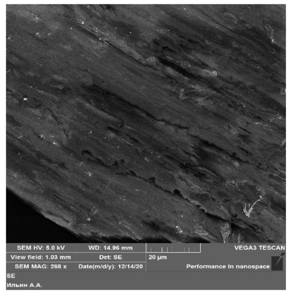 Coatings 11 00830 g005 550