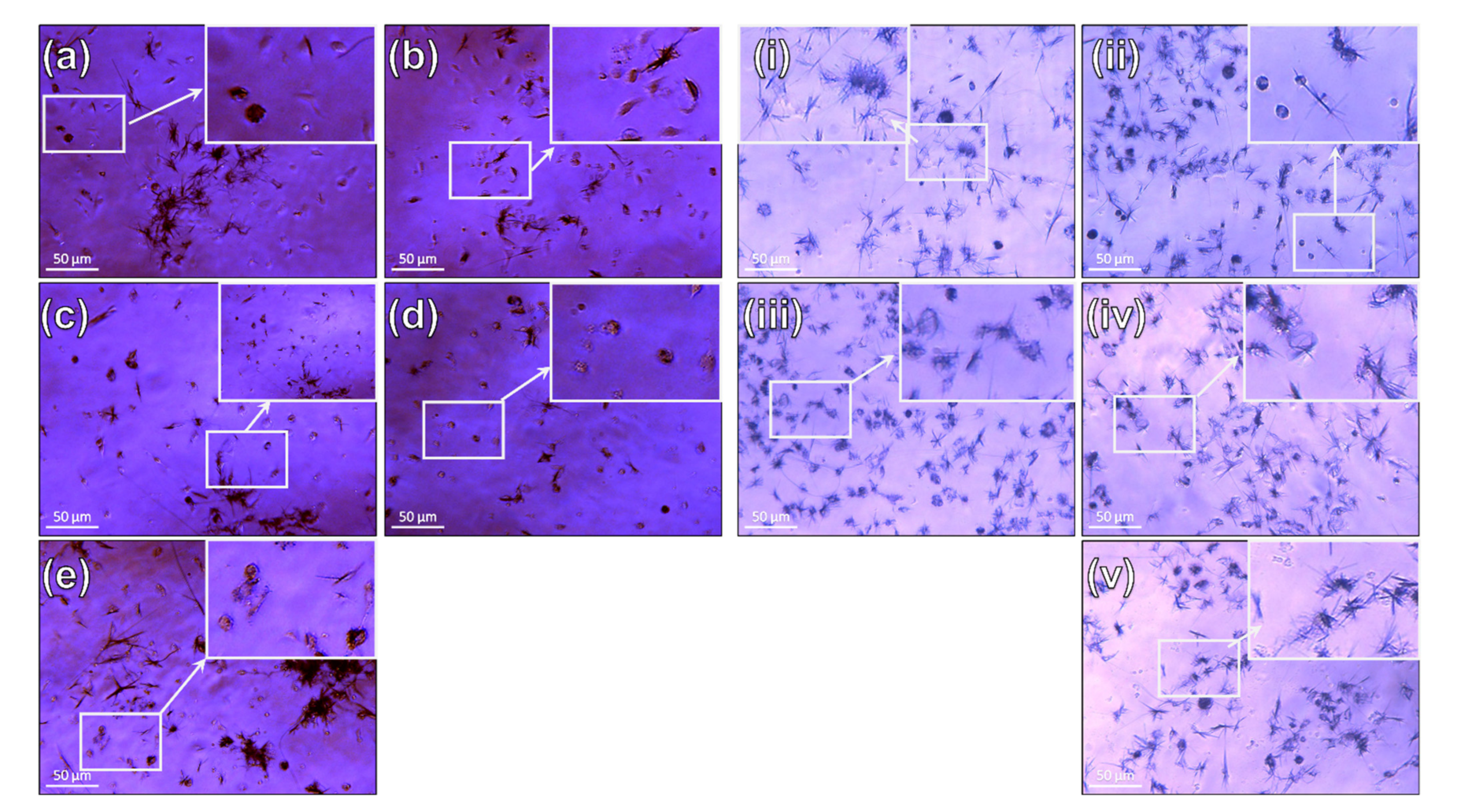 Coatings 11 00832 g007 Coatings 11 00832 g007