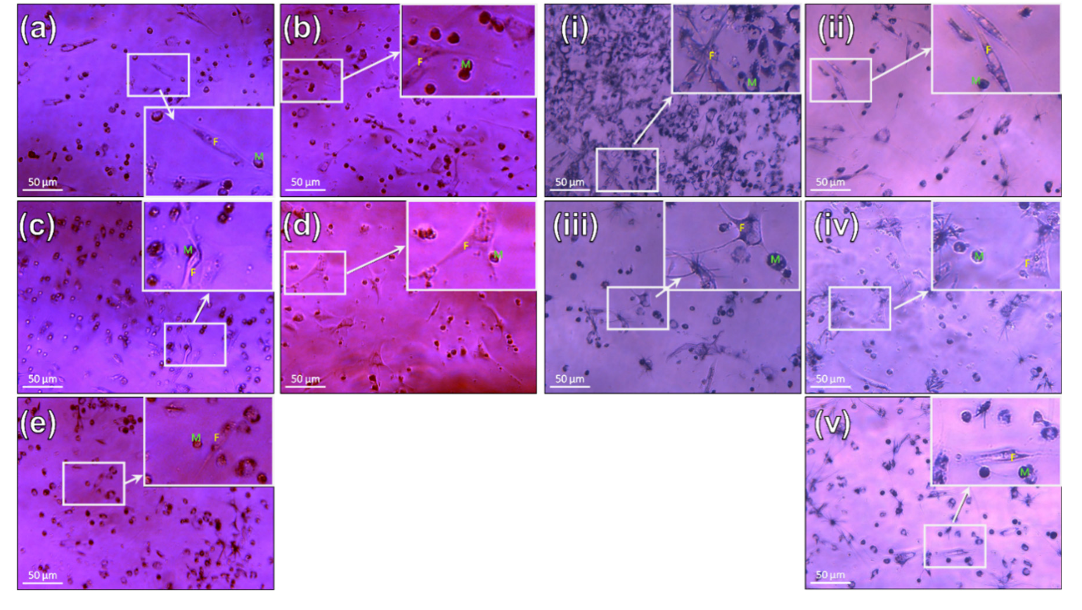 Coatings 11 00832 g008 Coatings 11 00832 g008