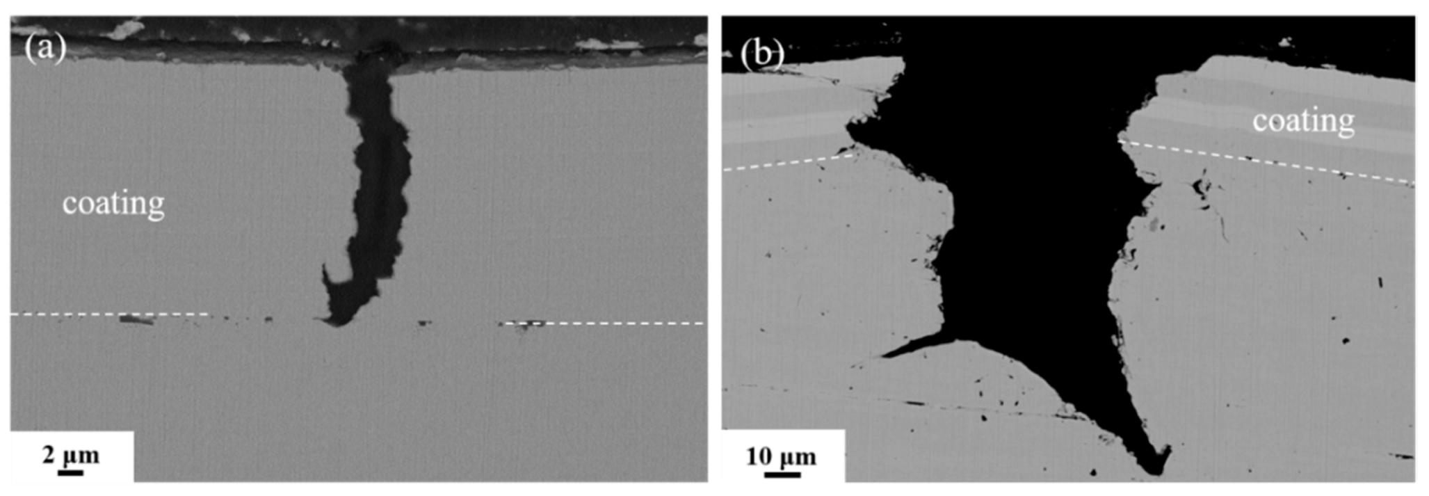 Coatings 11 00834 g006