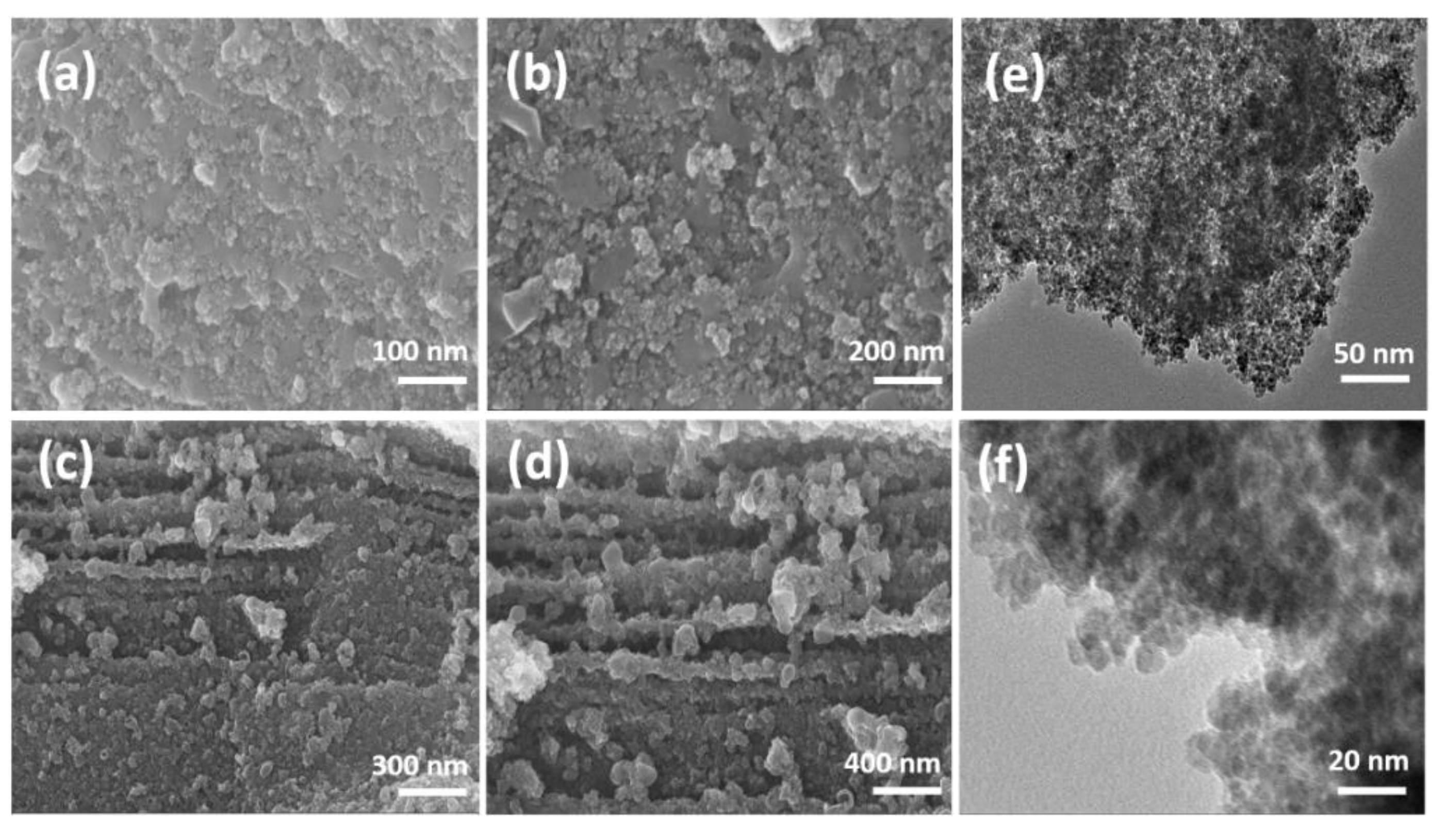 Coatings 11 00836 g004