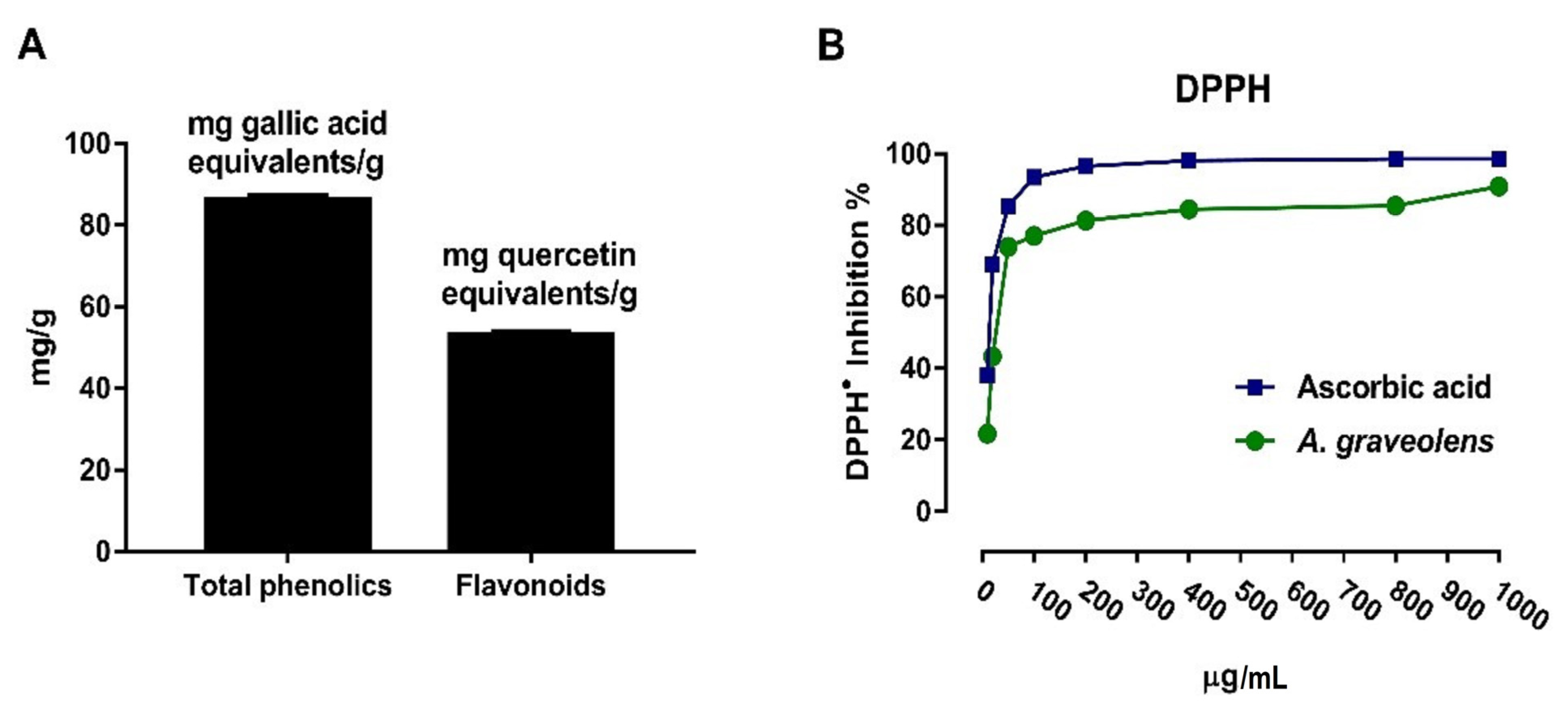 Coatings 11 00838 g001 550