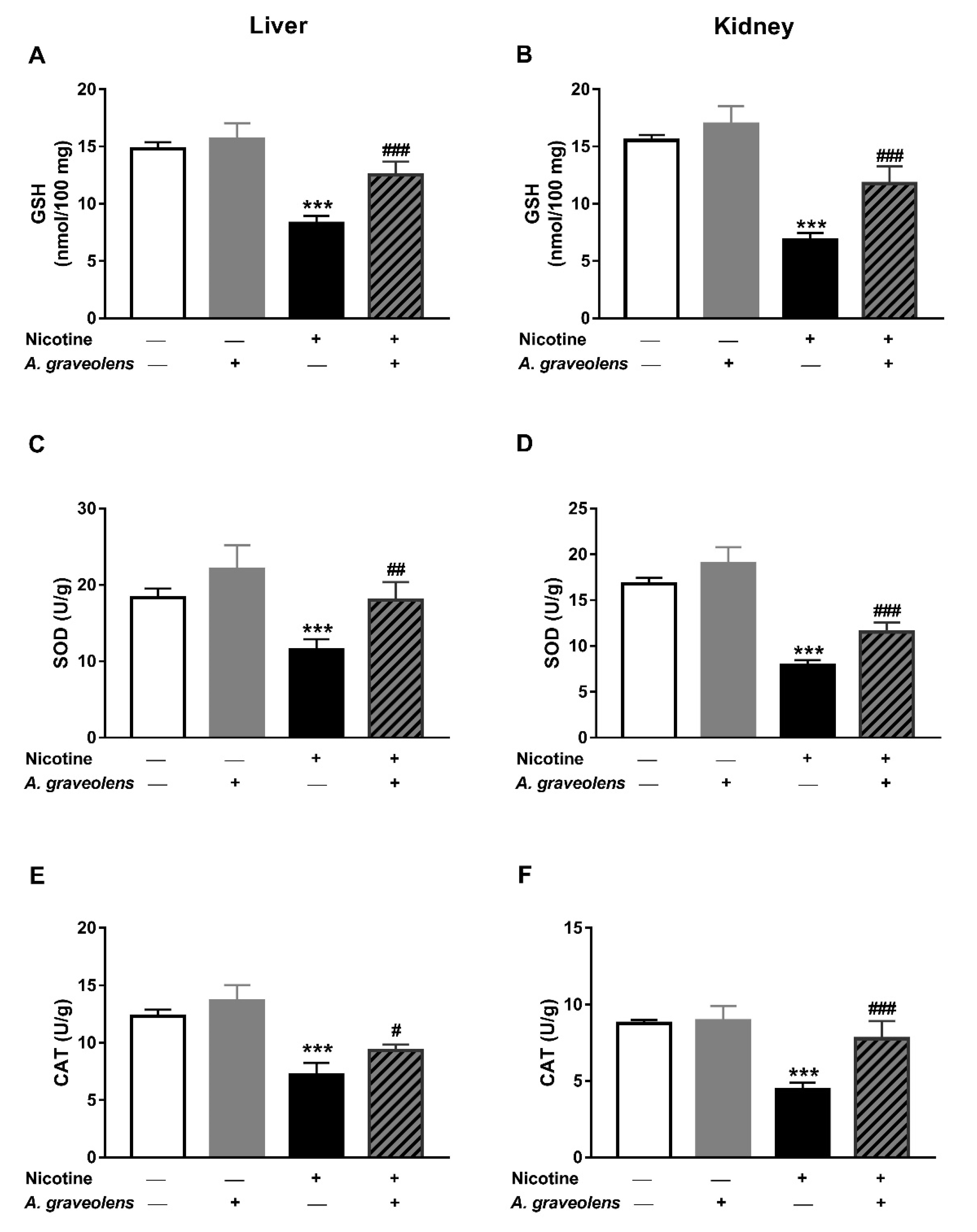 Coatings 11 00838 g006 550