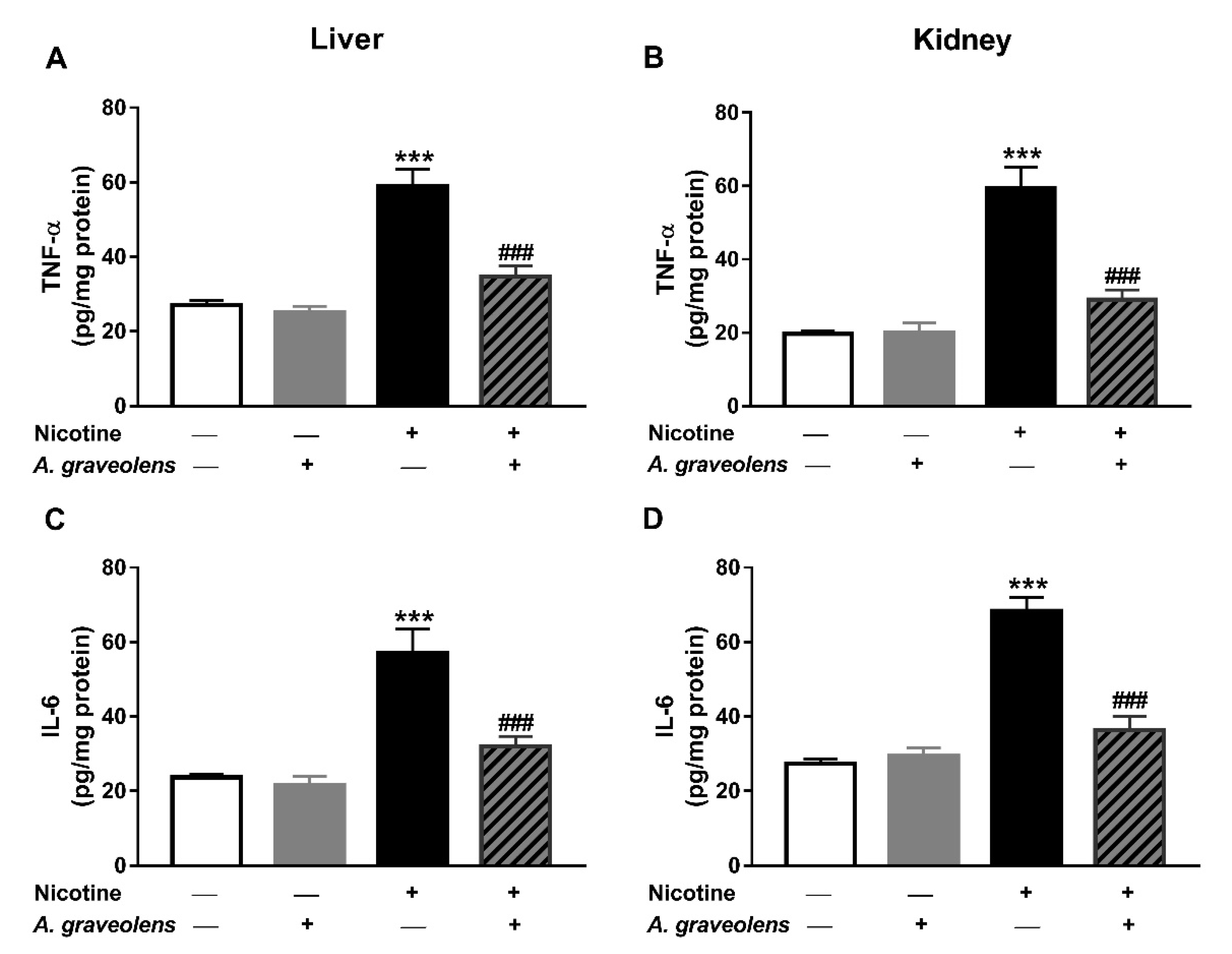 Coatings 11 00838 g008 550