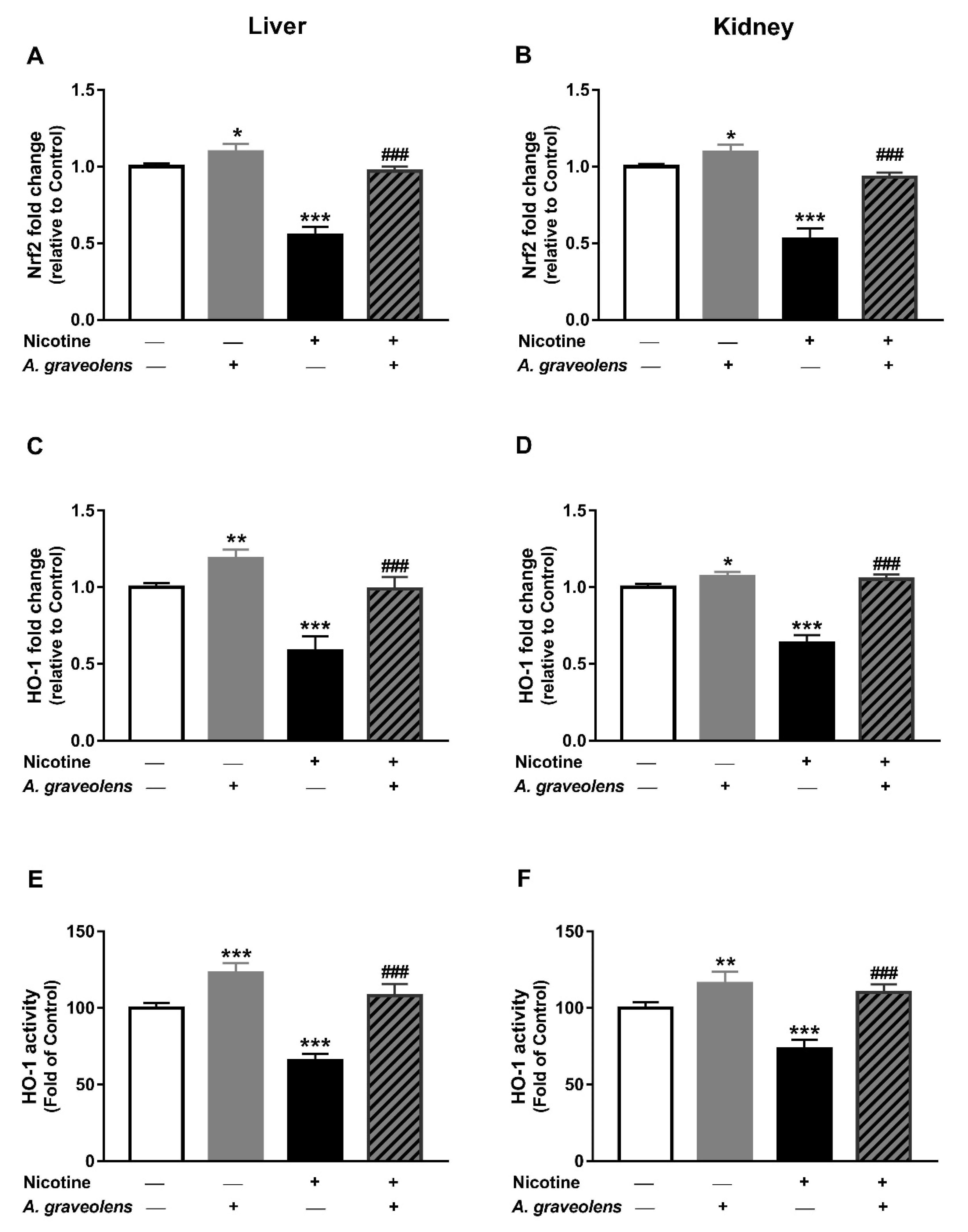 Coatings 11 00838 g009 550