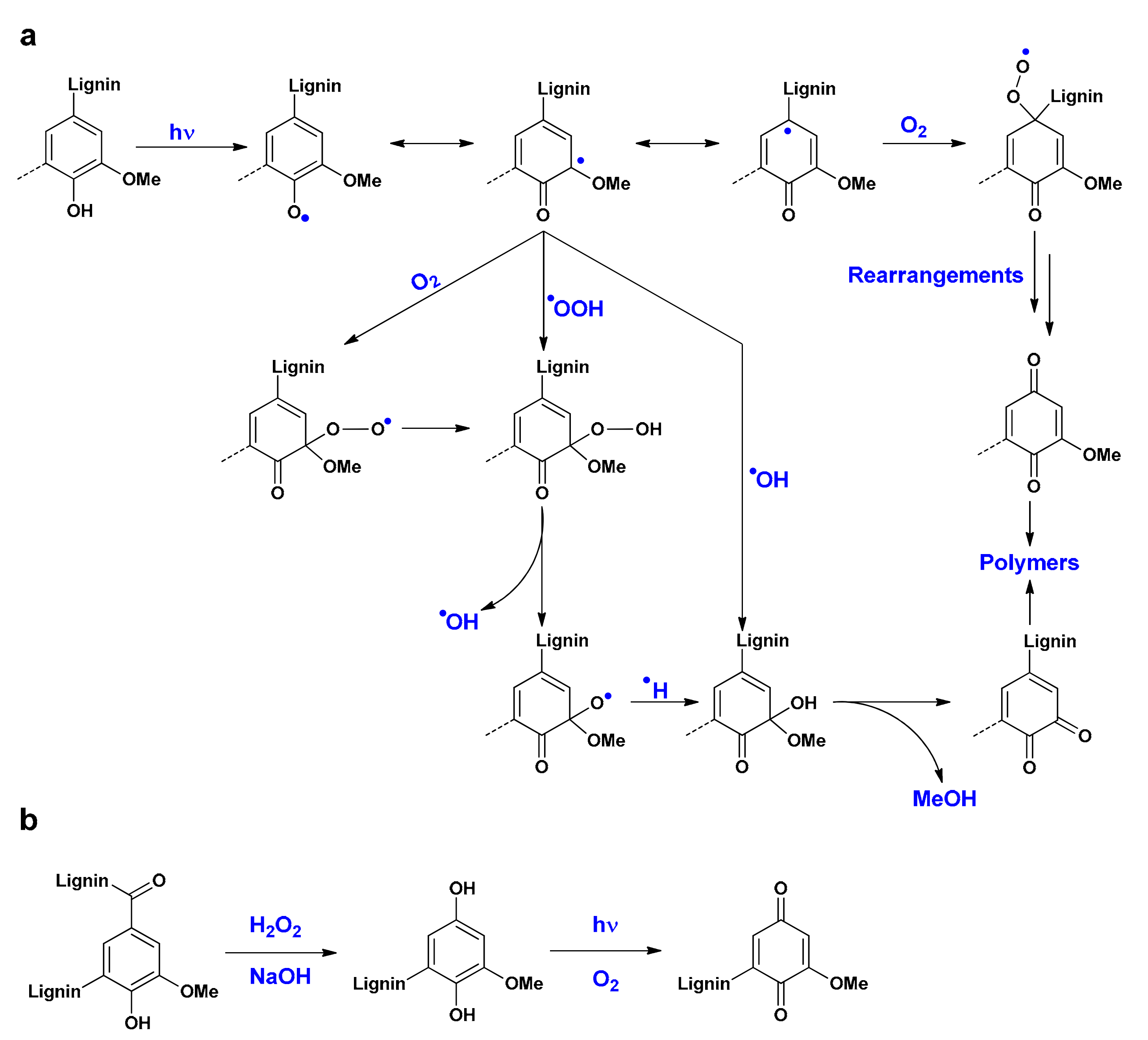 Coatings 11 00839 g011 550
